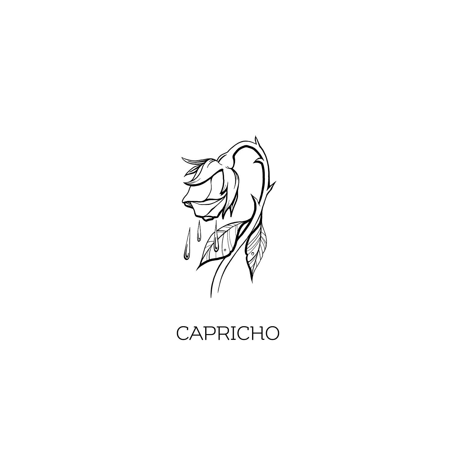 Постер альбома Capricho