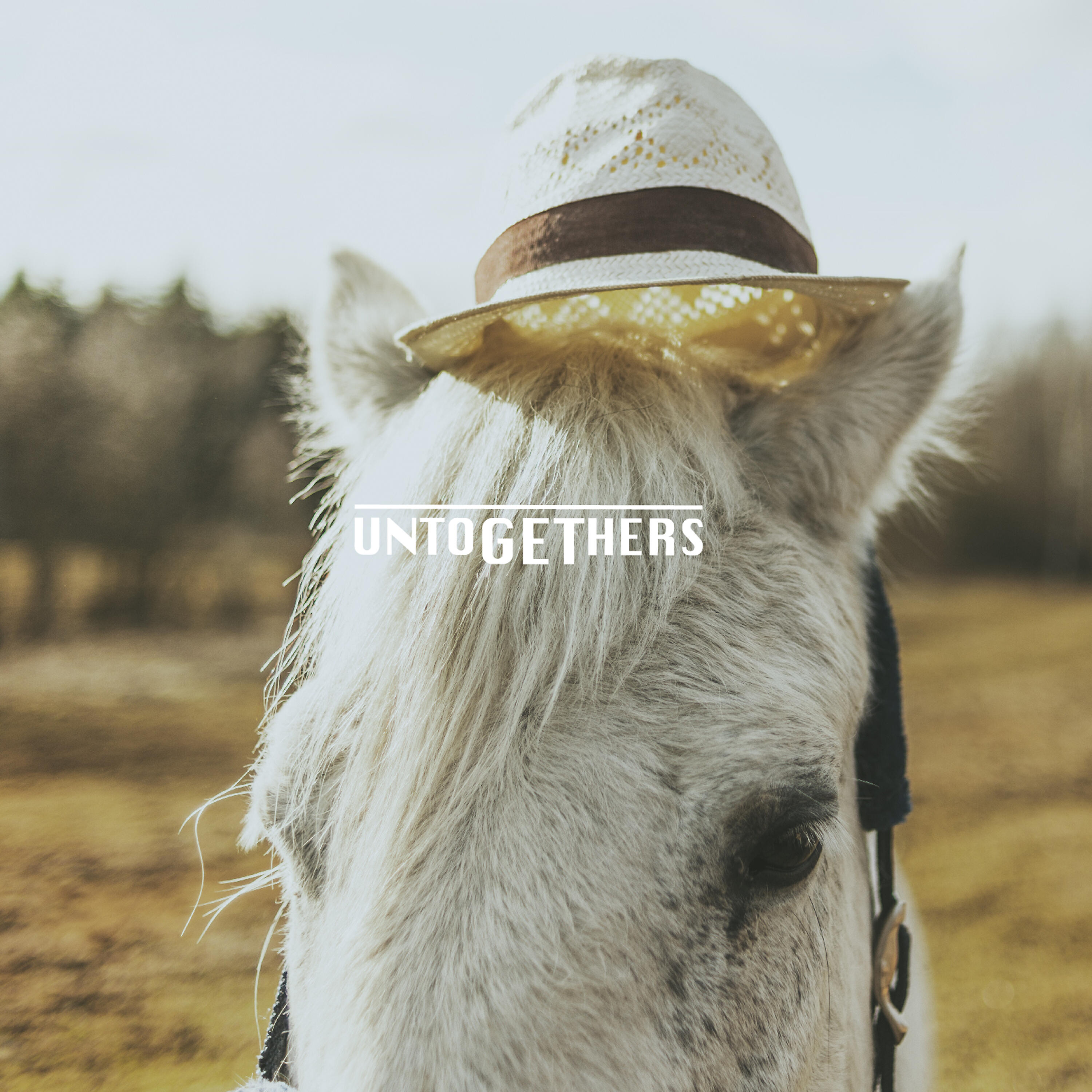 Untogethers - Rugged Marks