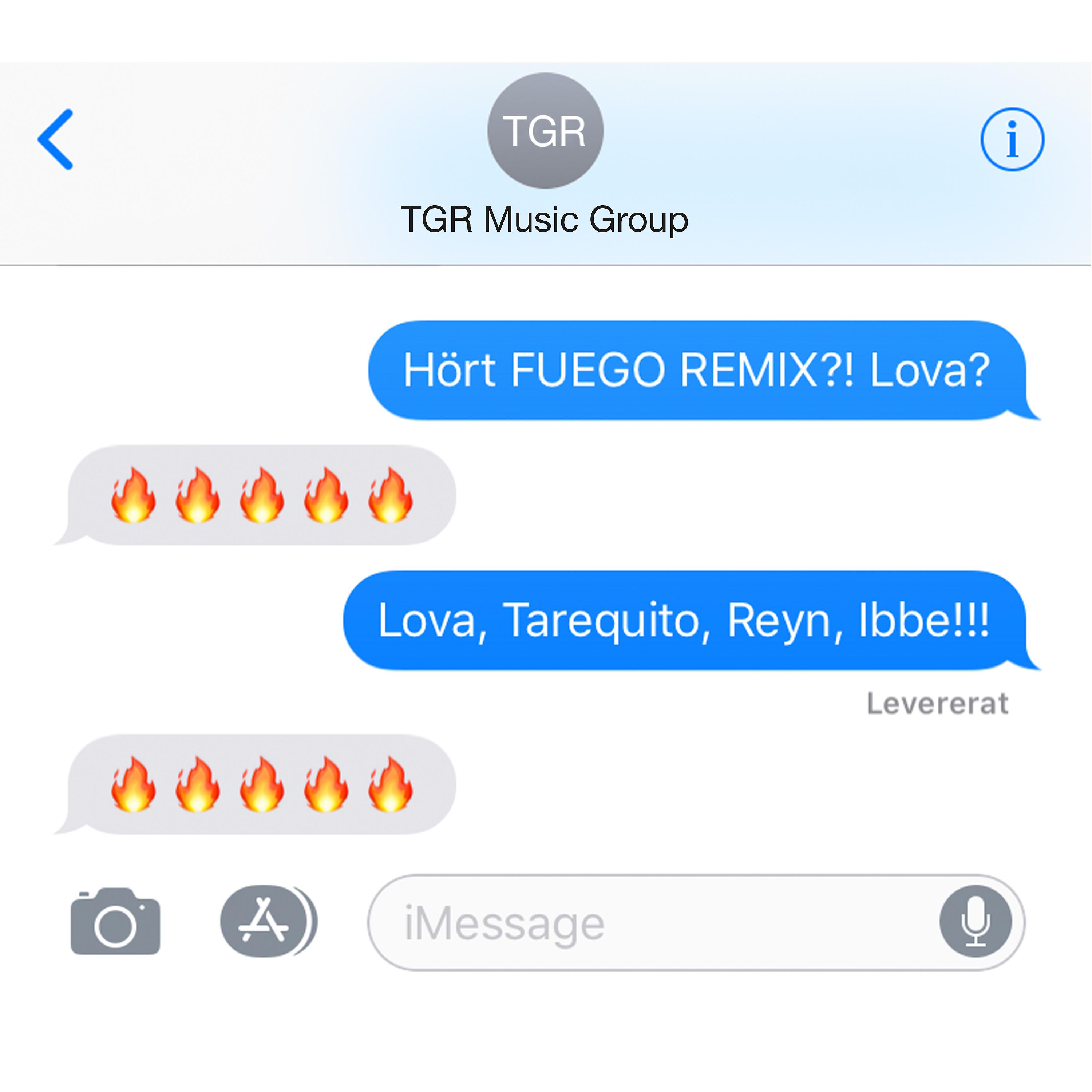 Постер альбома Fuego ( Remix )