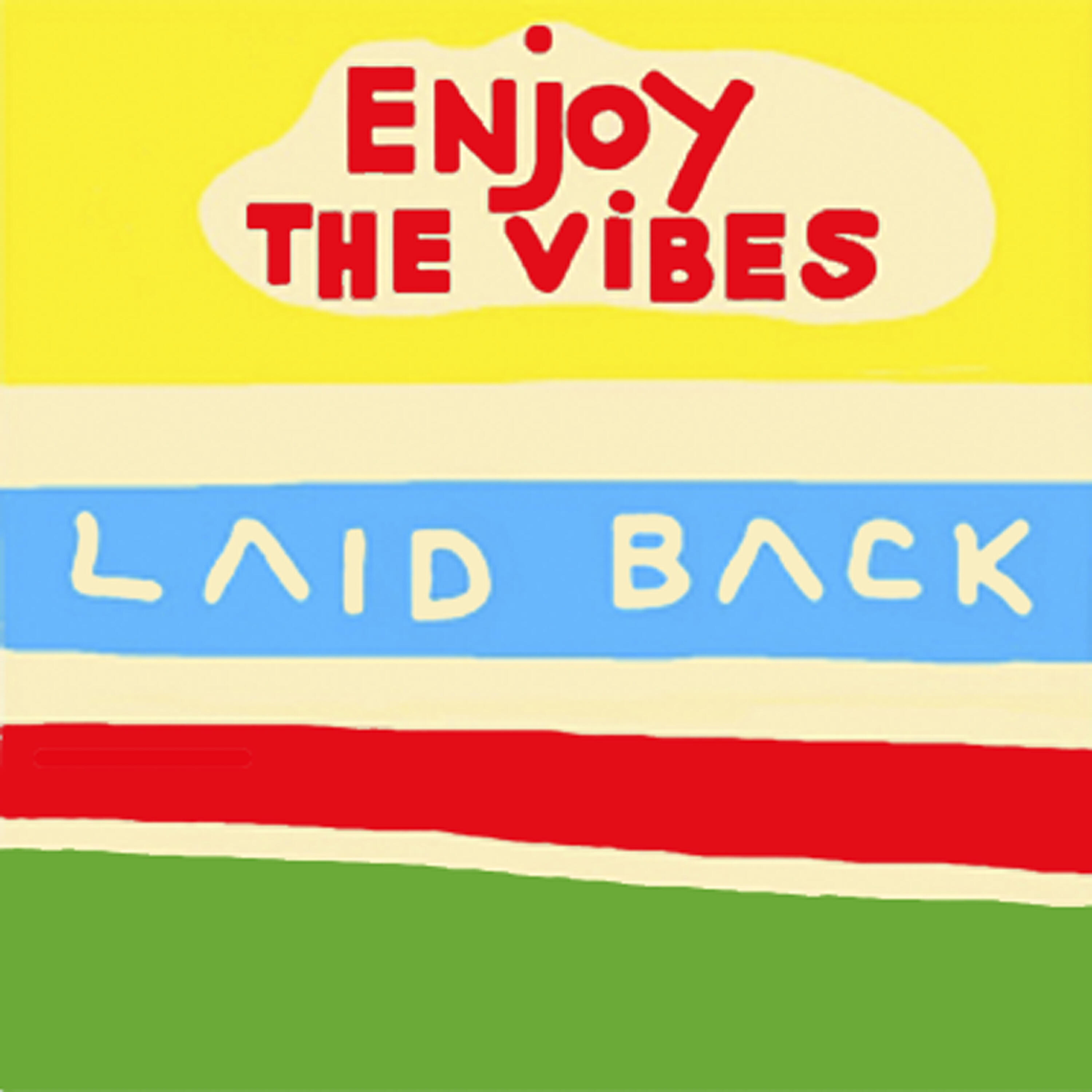 I enjoyed the back. Laid back. Vibe. Laid back the best. Laid back - enjoy the Vibes обложка альбома.