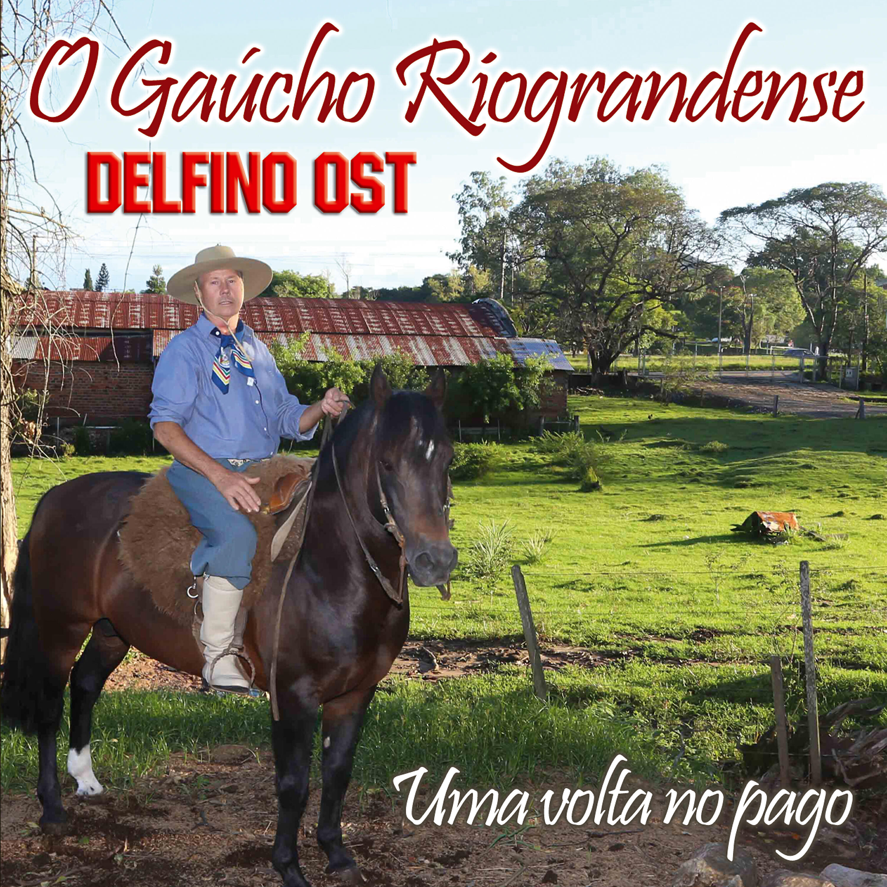 Delfino Ost - Touro Zebu