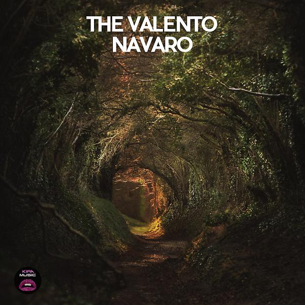 Постер альбома Navaro
