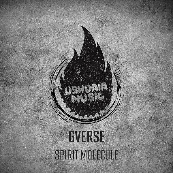 GVerse - Spirit Molecule (N.O.B.A Remix)