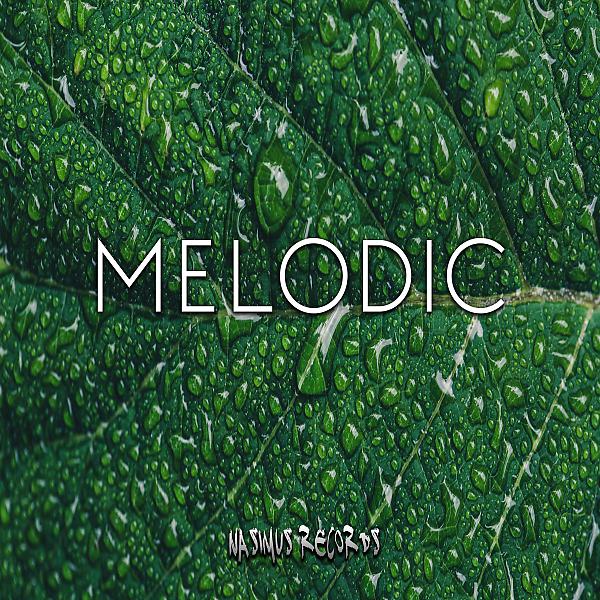 Постер альбома Melodic