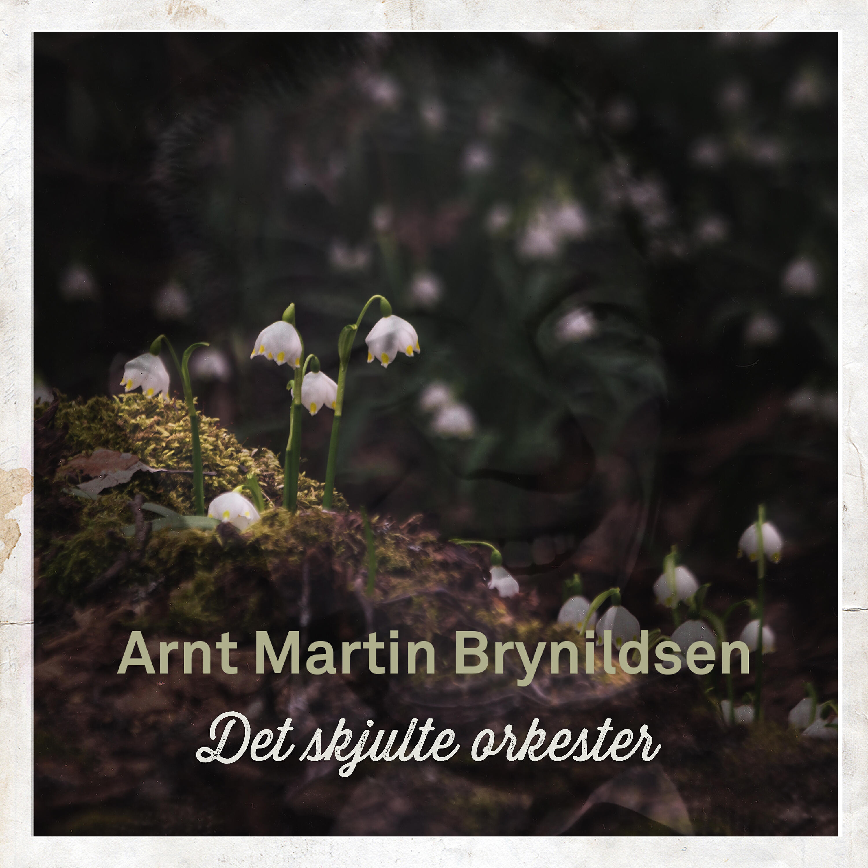 Arnt Martin Brynildsen - Det Skjulte Orkester