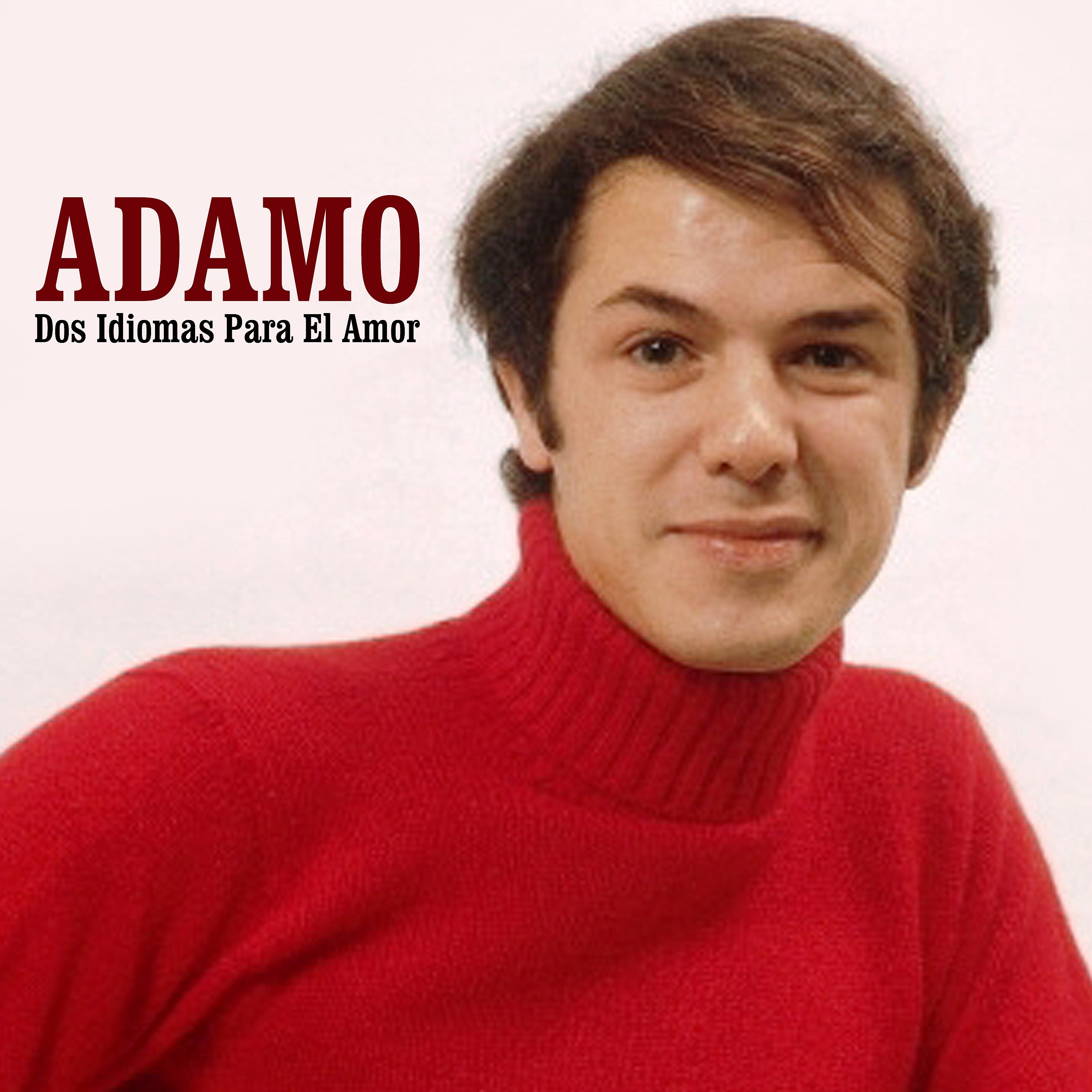 Постер альбома Dos Idiomas para el Amor