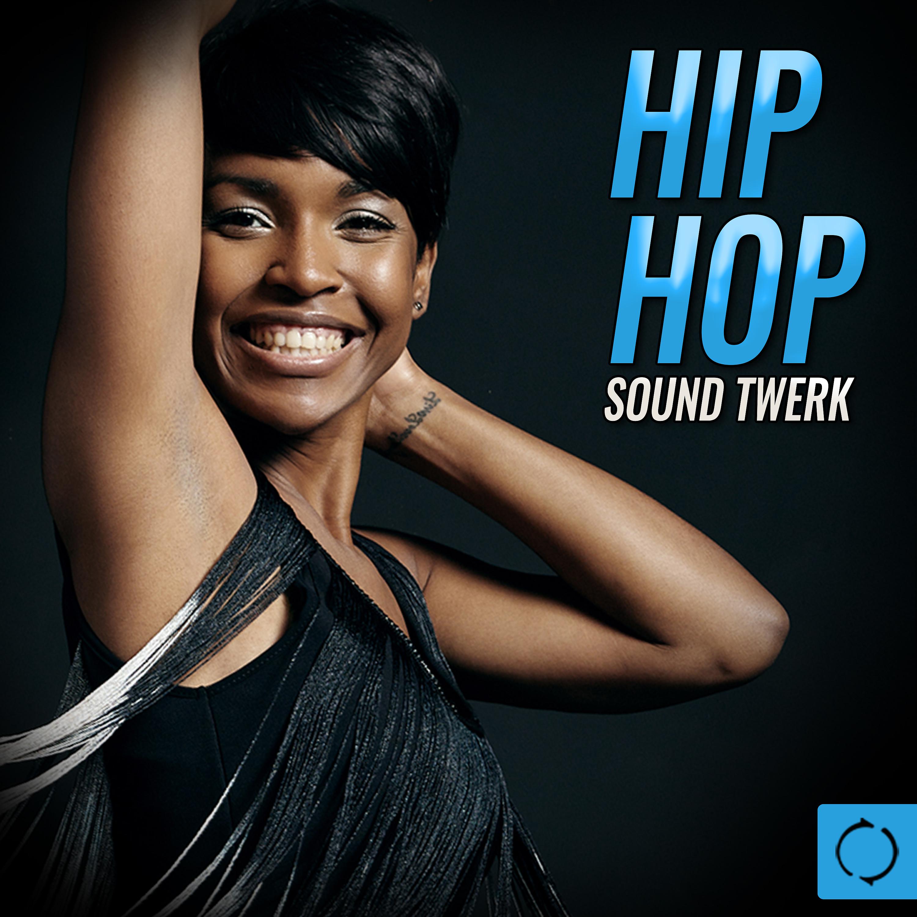 Постер альбома Hip Hop Sound Twerk