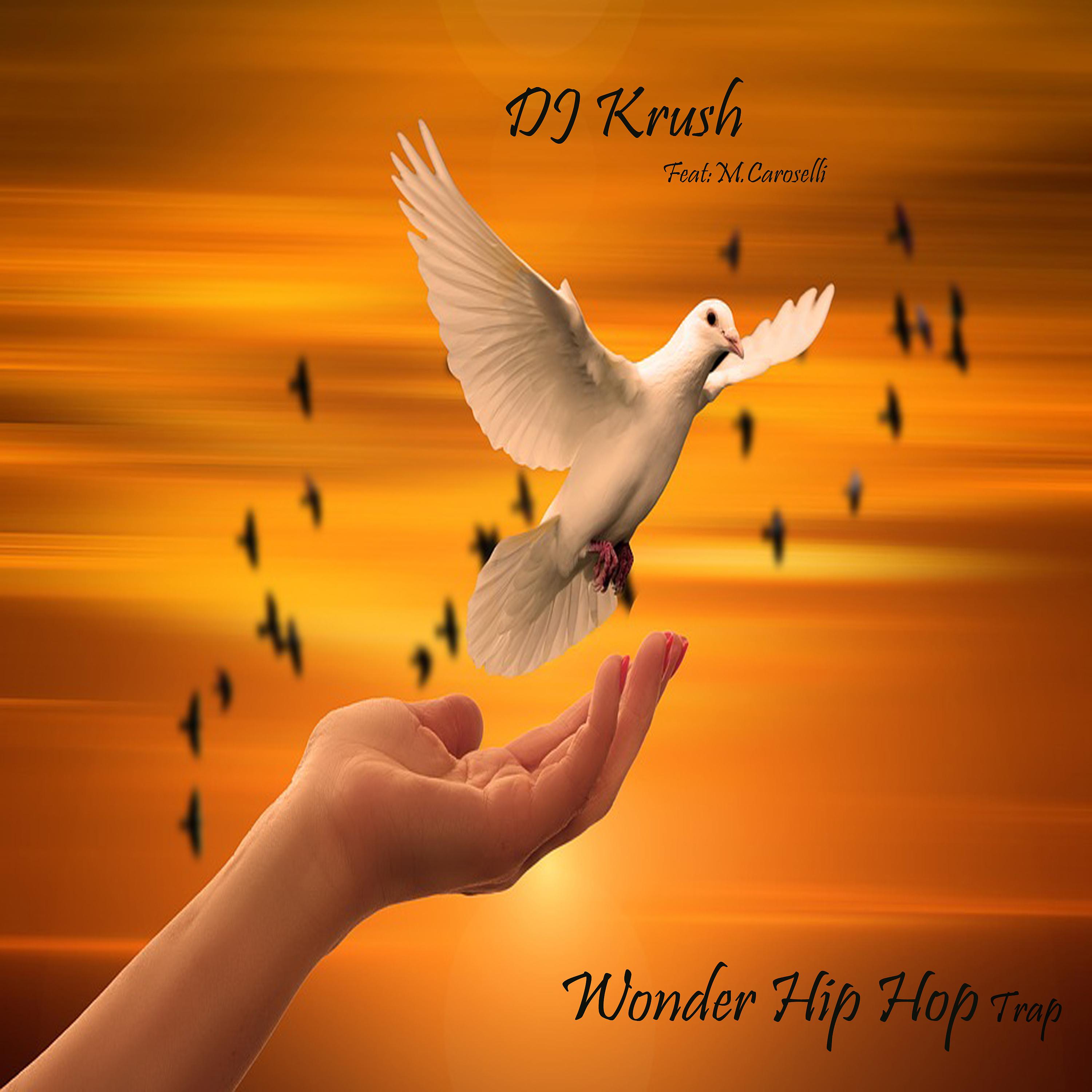 Постер альбома Wonder Hip Hop Trap
