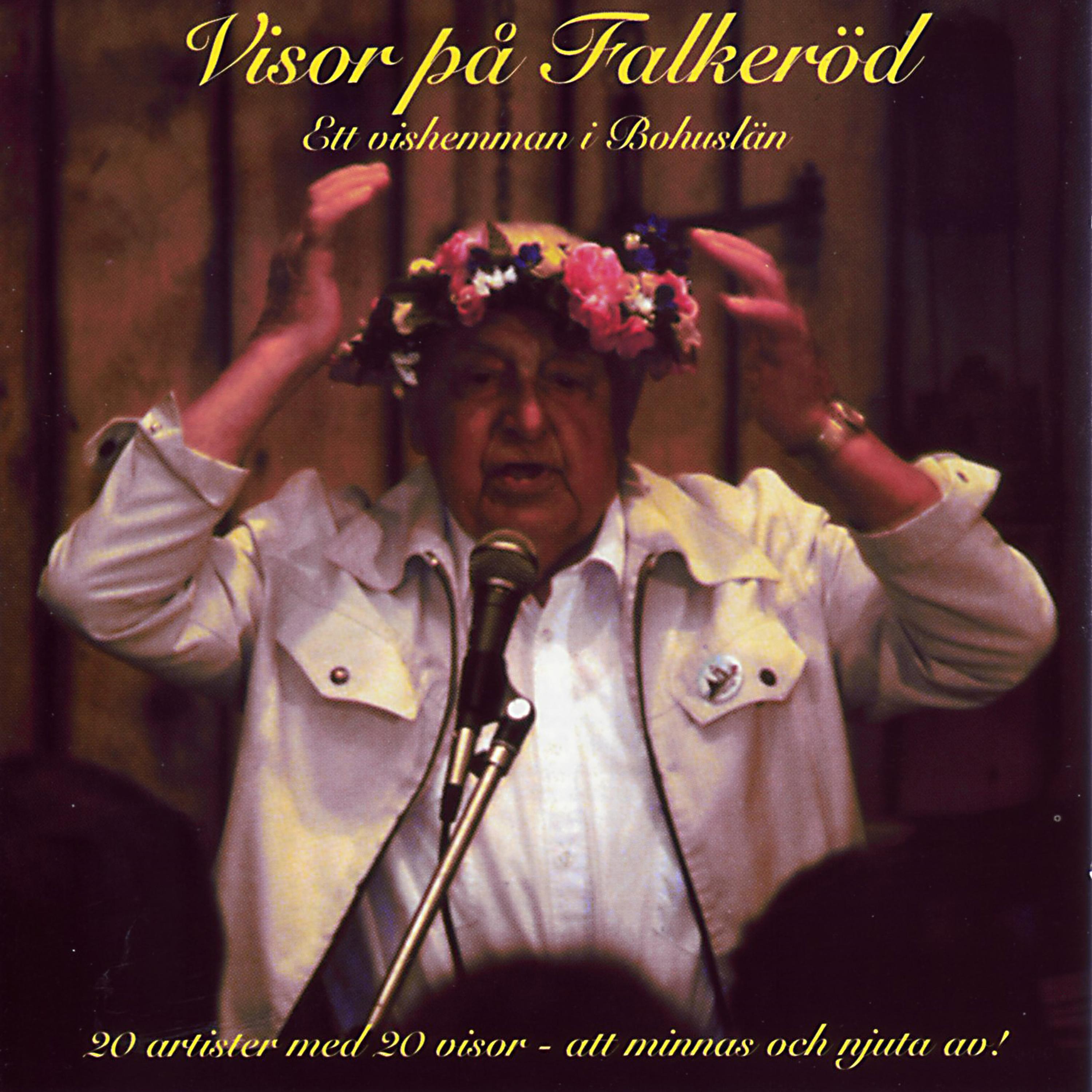 Постер альбома Visor på Falkeröd - Ett vishemman i Bohuslän