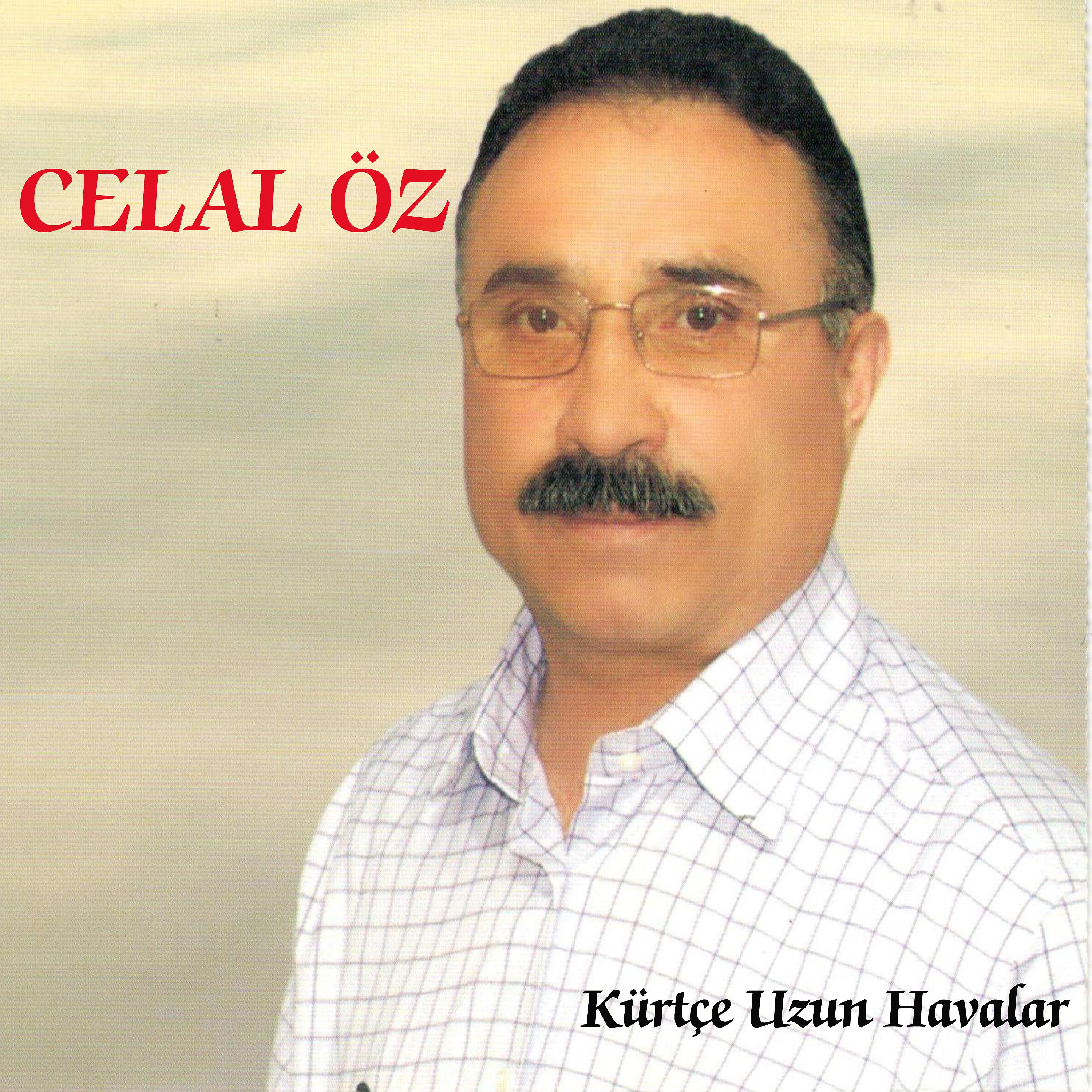 Постер альбома Dengbej Kürtçe Uzun Havalar