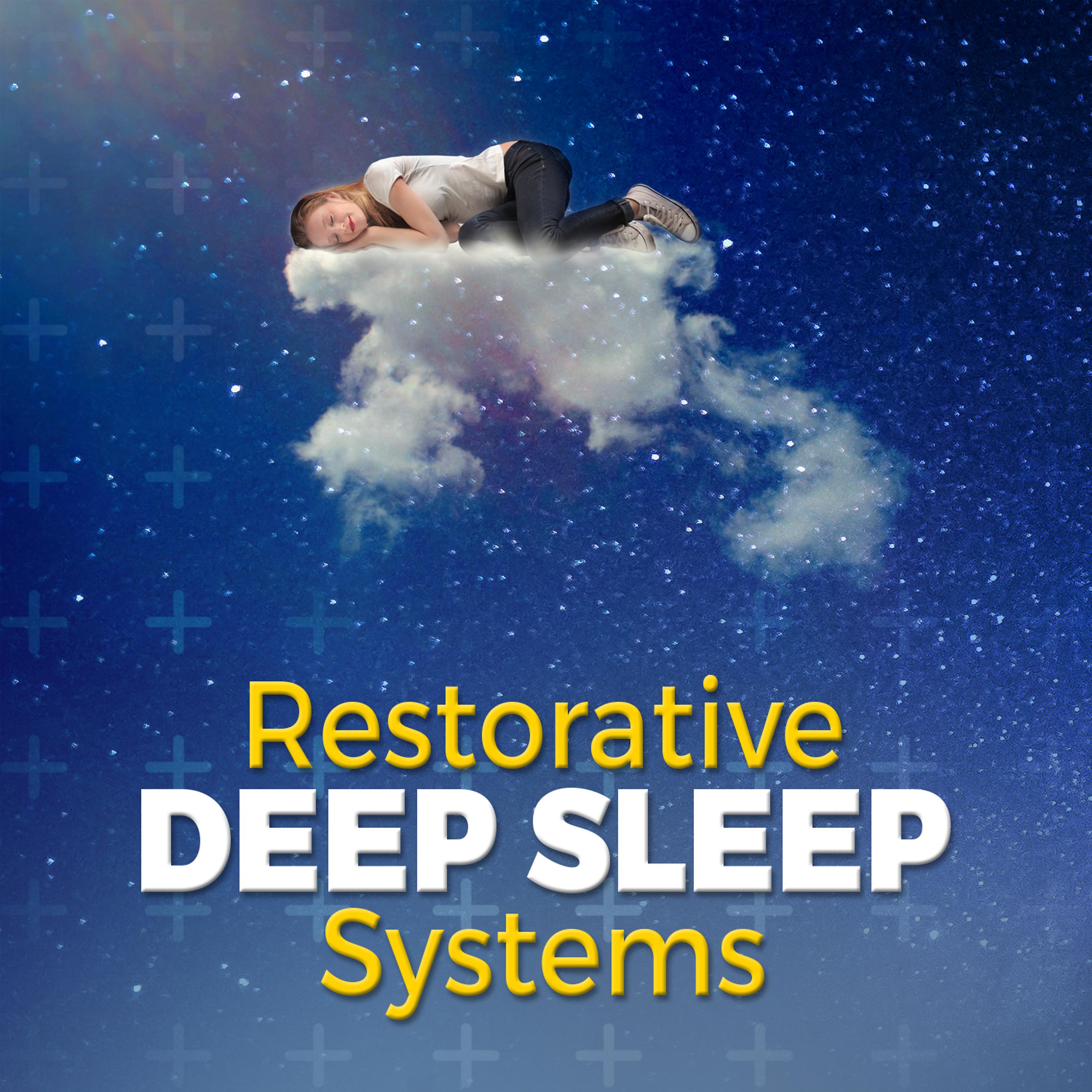 Постер альбома Restorative Deep Sleep Systems