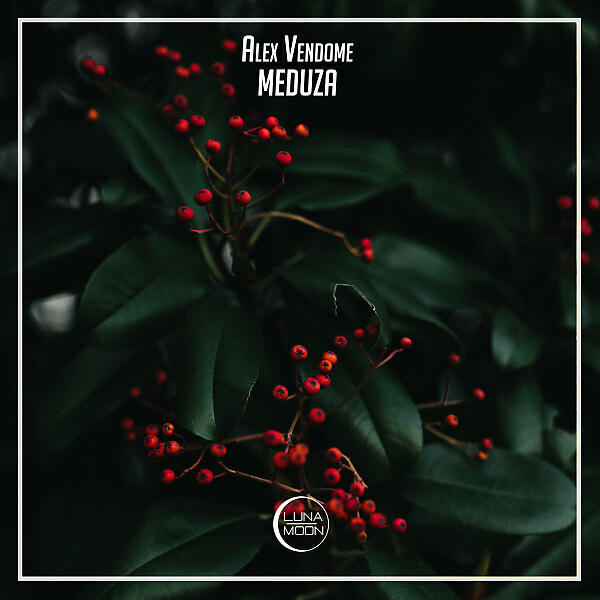 Alex Vendome - Meduza