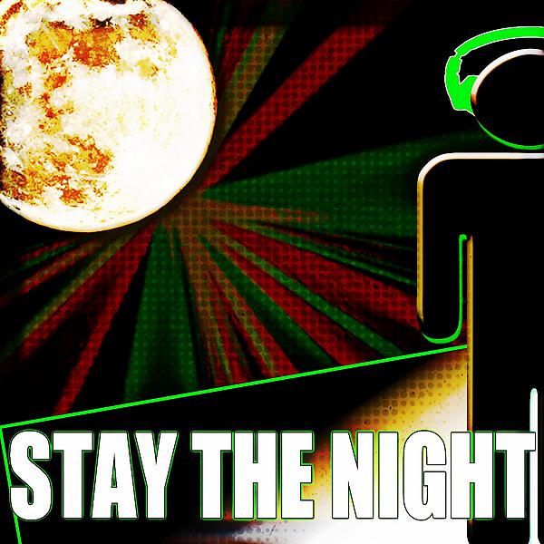 Постер альбома Stay The Night (Unmixed Compilation)