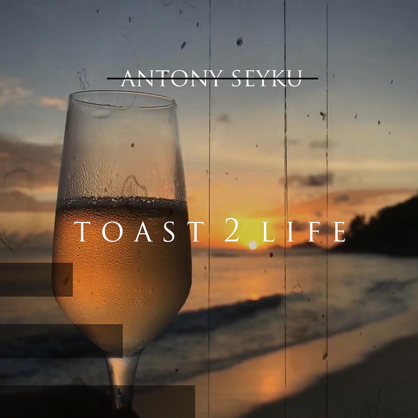 Постер альбома Toast 2 Life