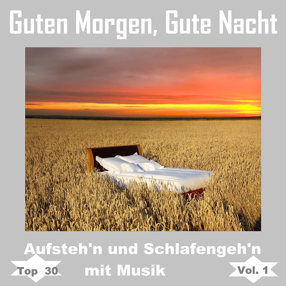 Постер альбома Top 30: Guten Morgen, gute Nacht - Aufsteh'n und schlafengeh'n mit Musik, Vol. 1