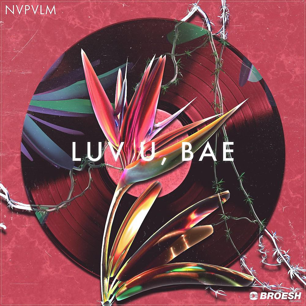 Постер альбома Luv U, Bae