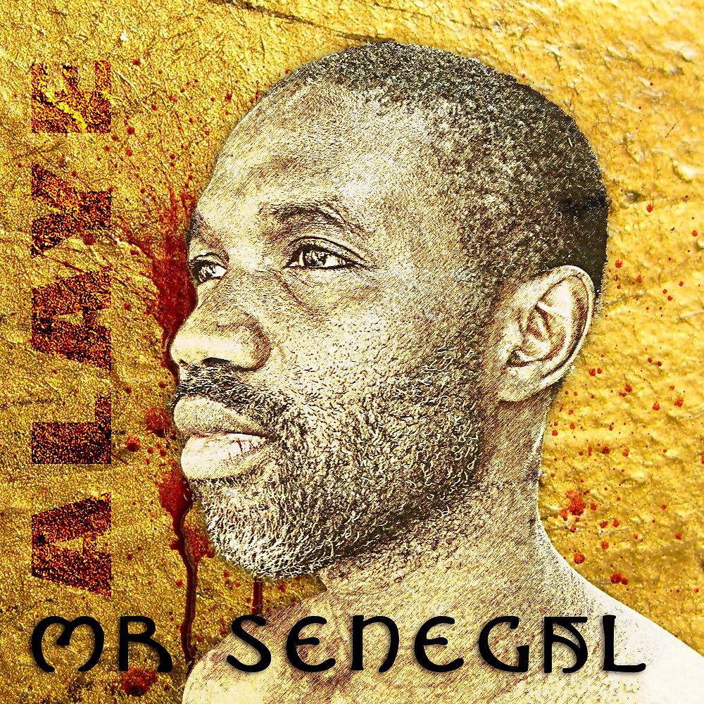 Постер альбома Mr Senegal