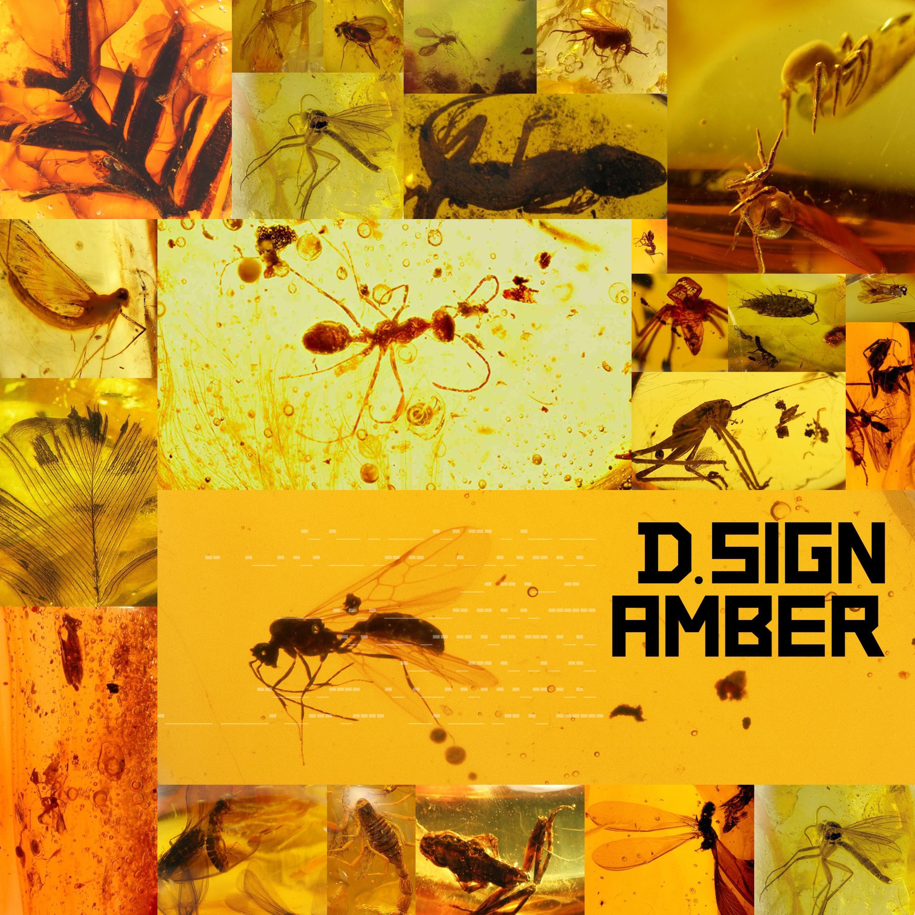 D.Sign - Amber