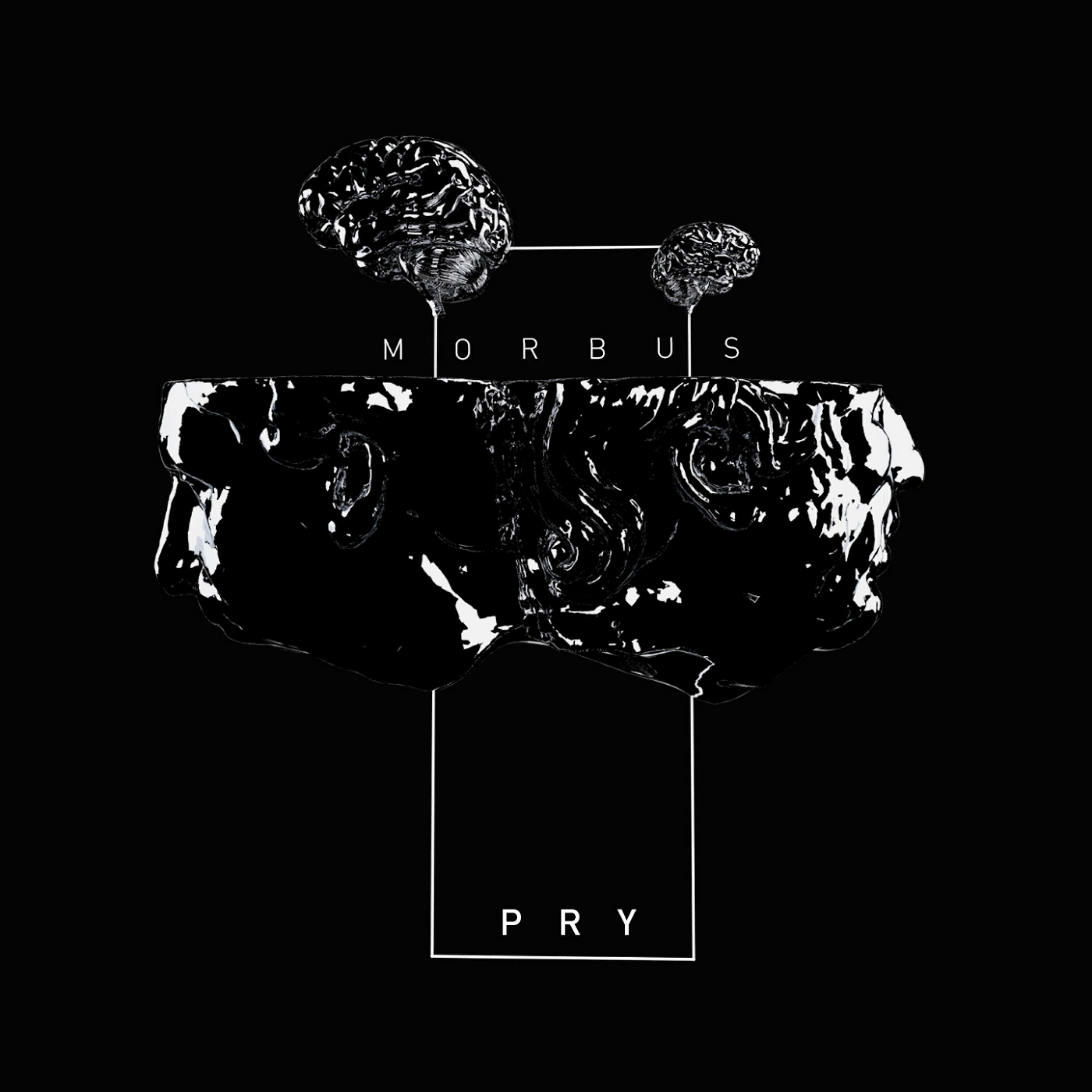 PRY - Aporia (Frederik Hatsav Remix)