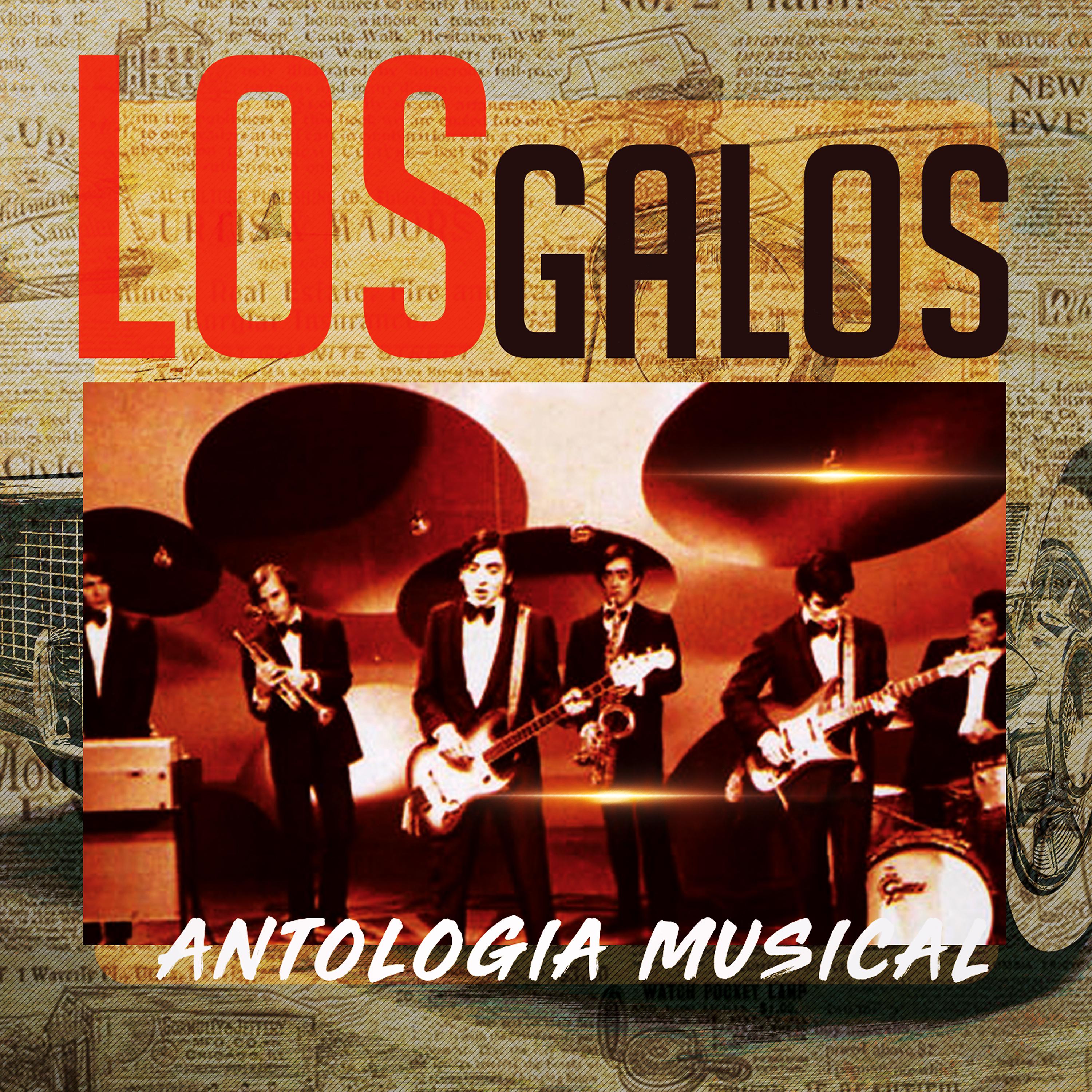 Постер альбома Los Galos