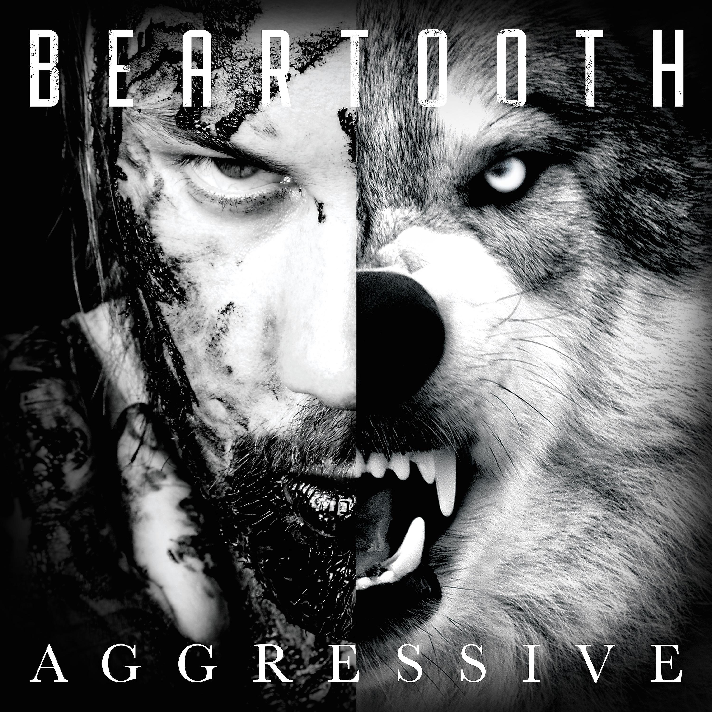 Постер альбома Aggressive (Album Commentary)