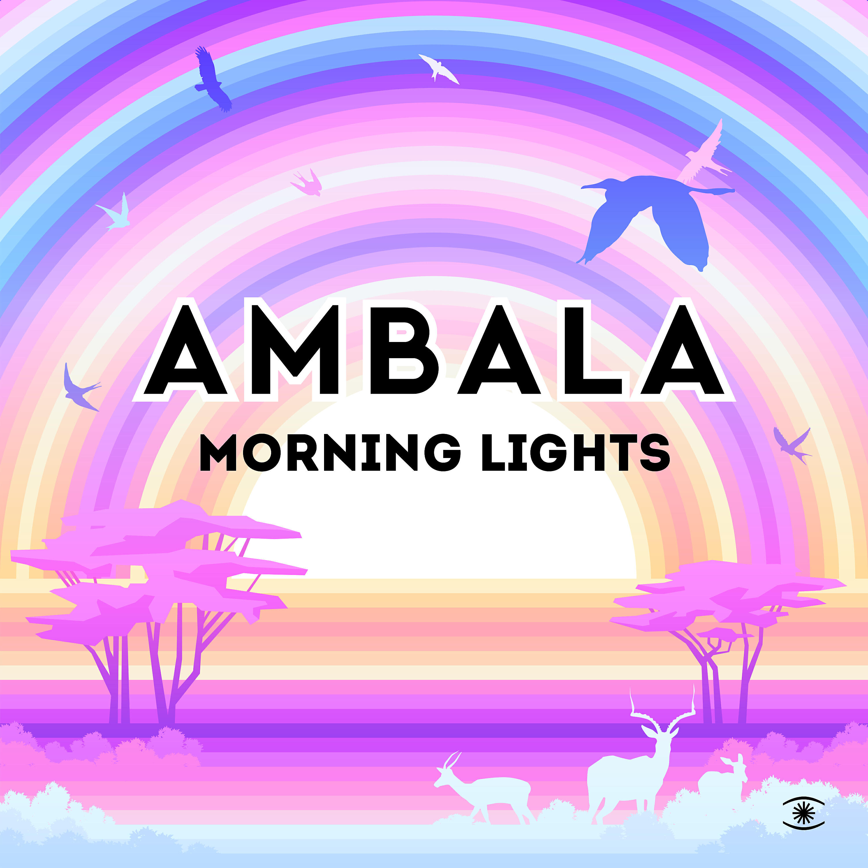 Ambala - Morning Lights