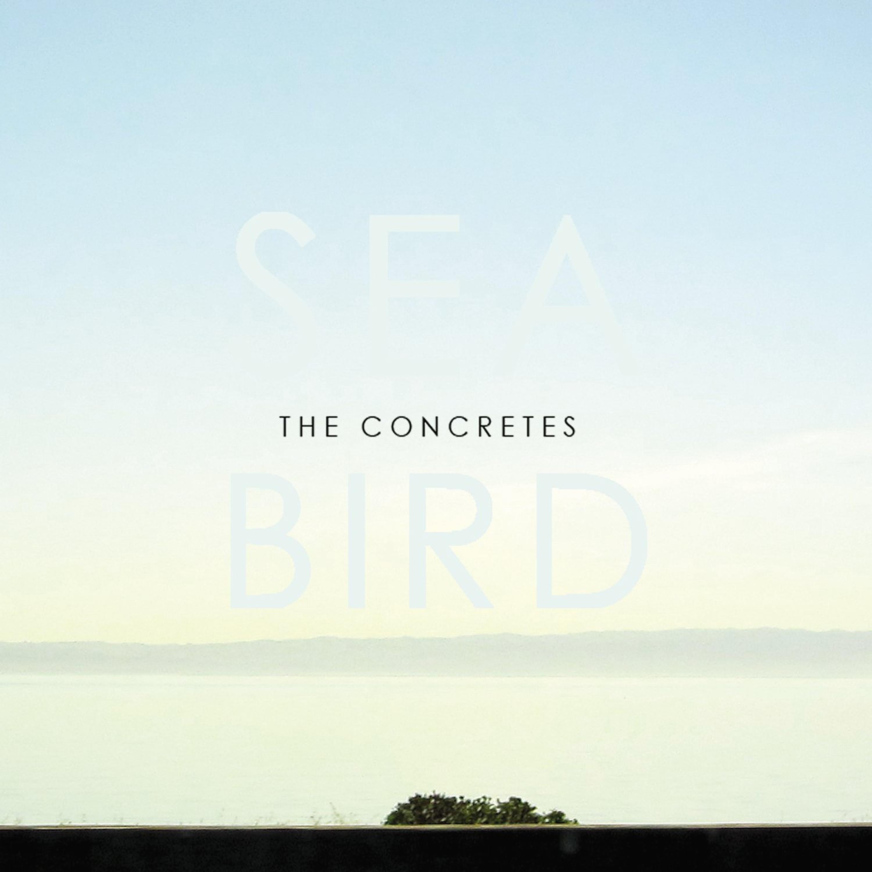 Постер альбома Seabird - Single
