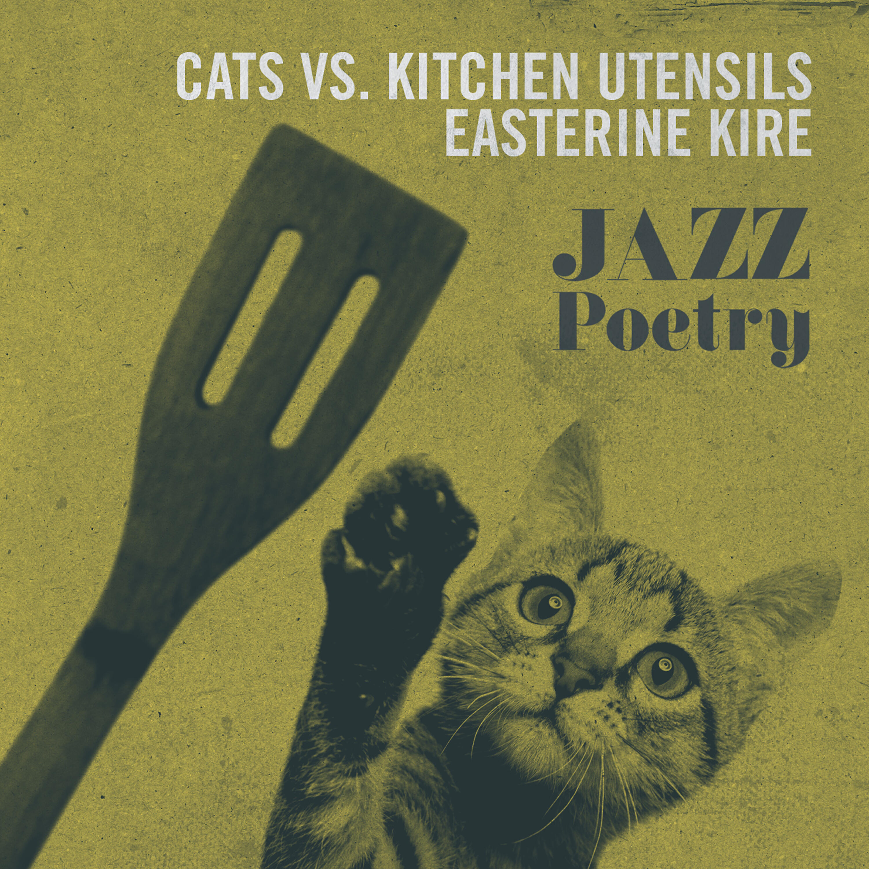 Cats vs. Kitchen Utensils - The Concert Where Noone Played Their Instrument