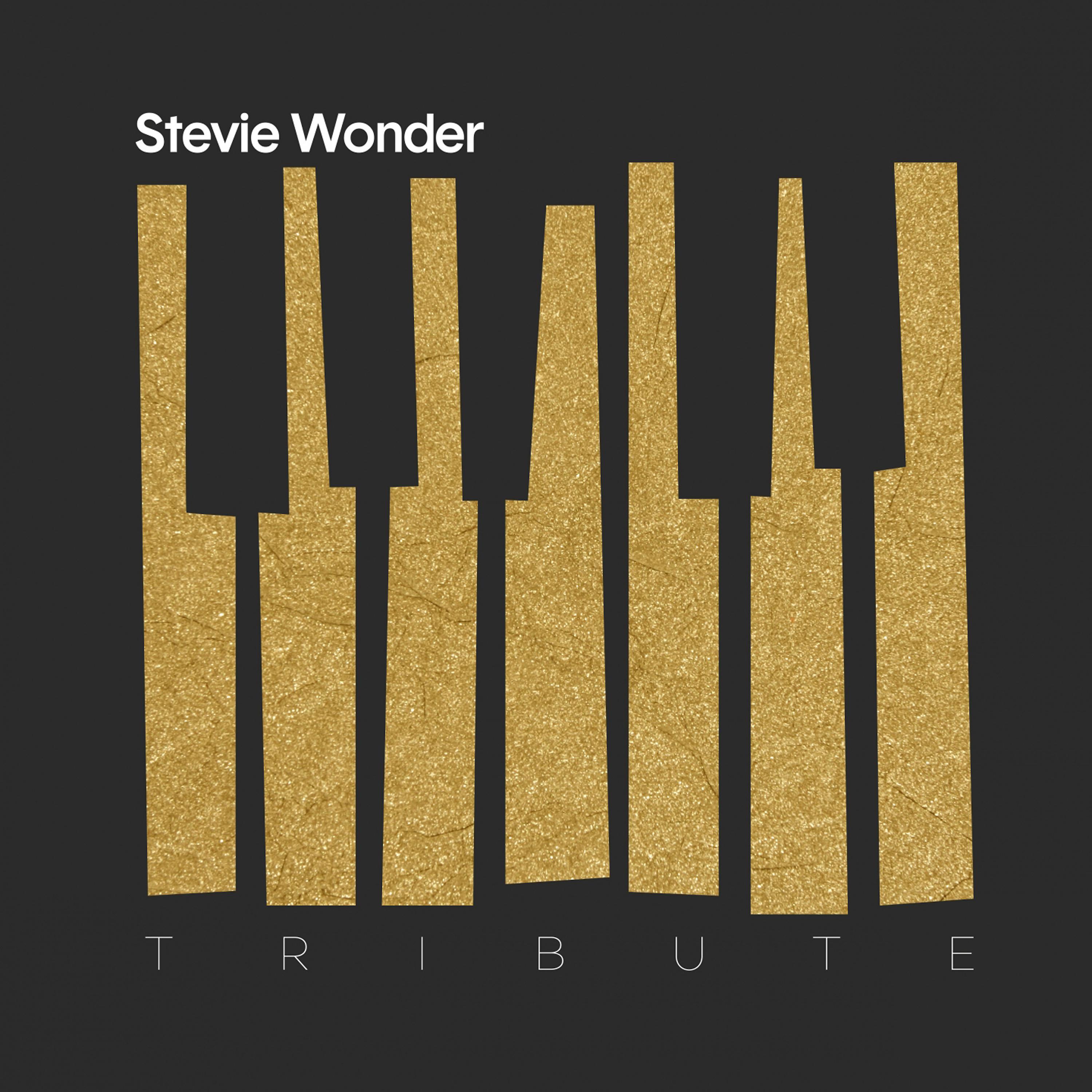 Постер альбома A Tribute to Stevie Wonder
