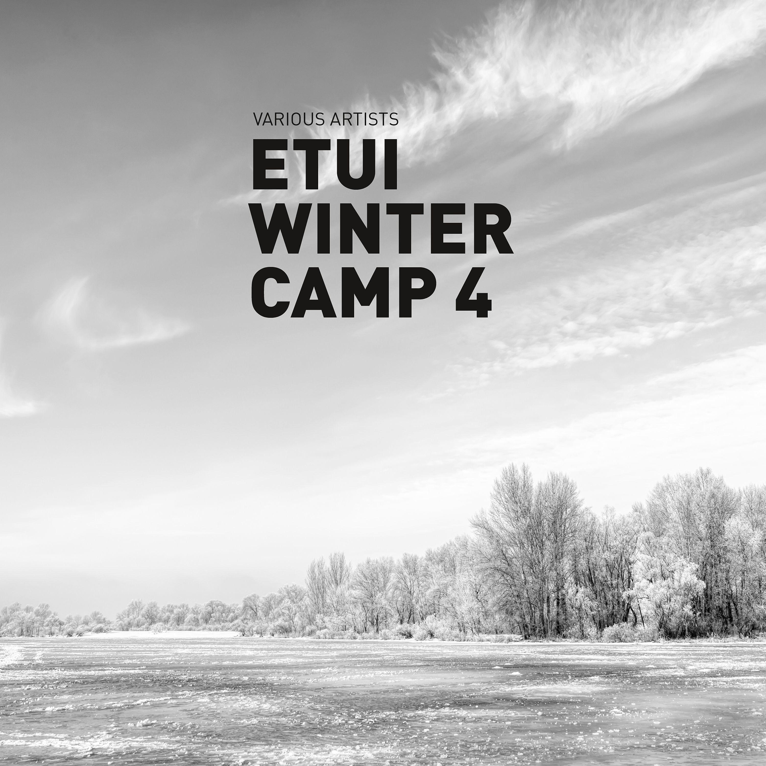 Постер альбома Etui Winter Camp, Vol. 4