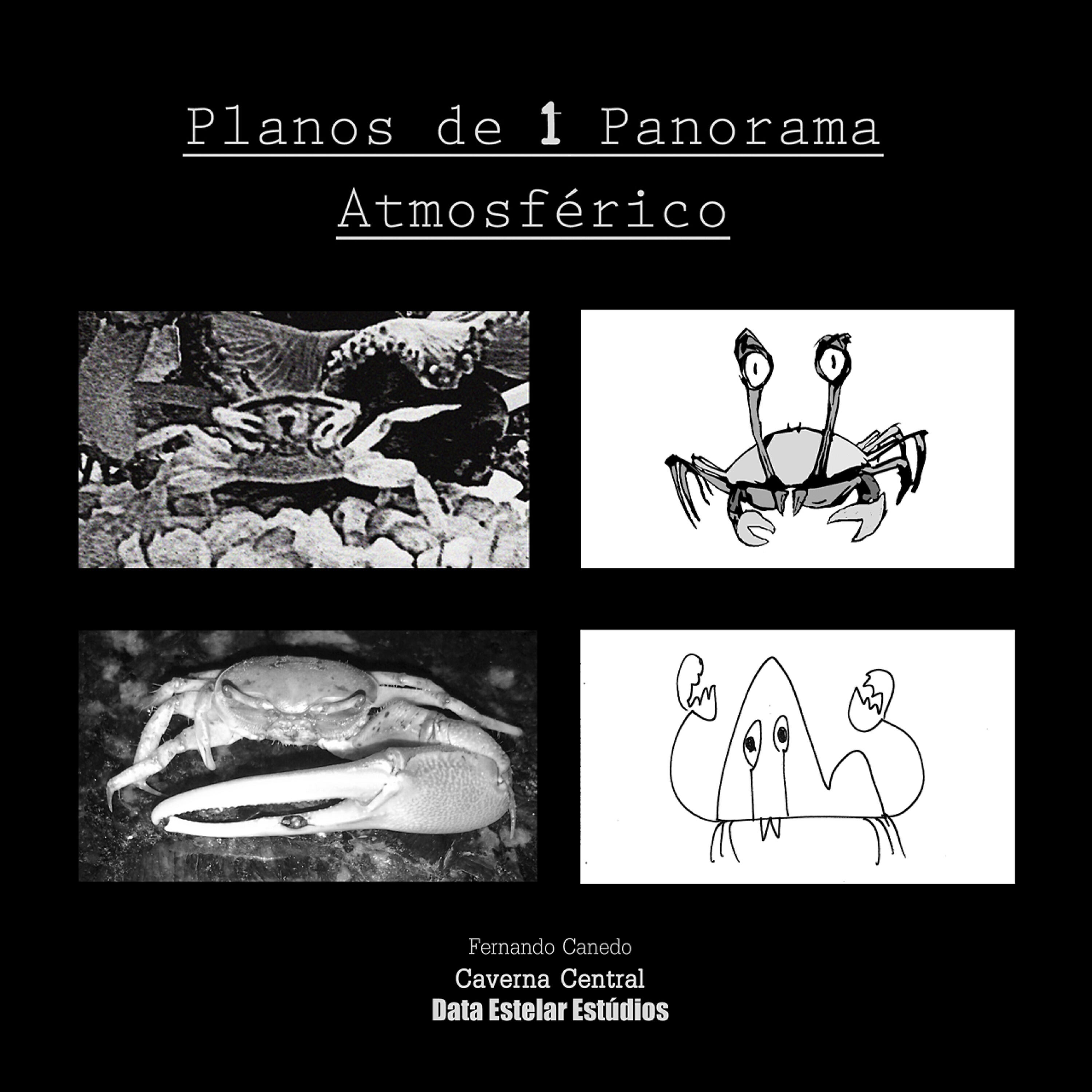 Fernando Canedo - Elemento Móvel