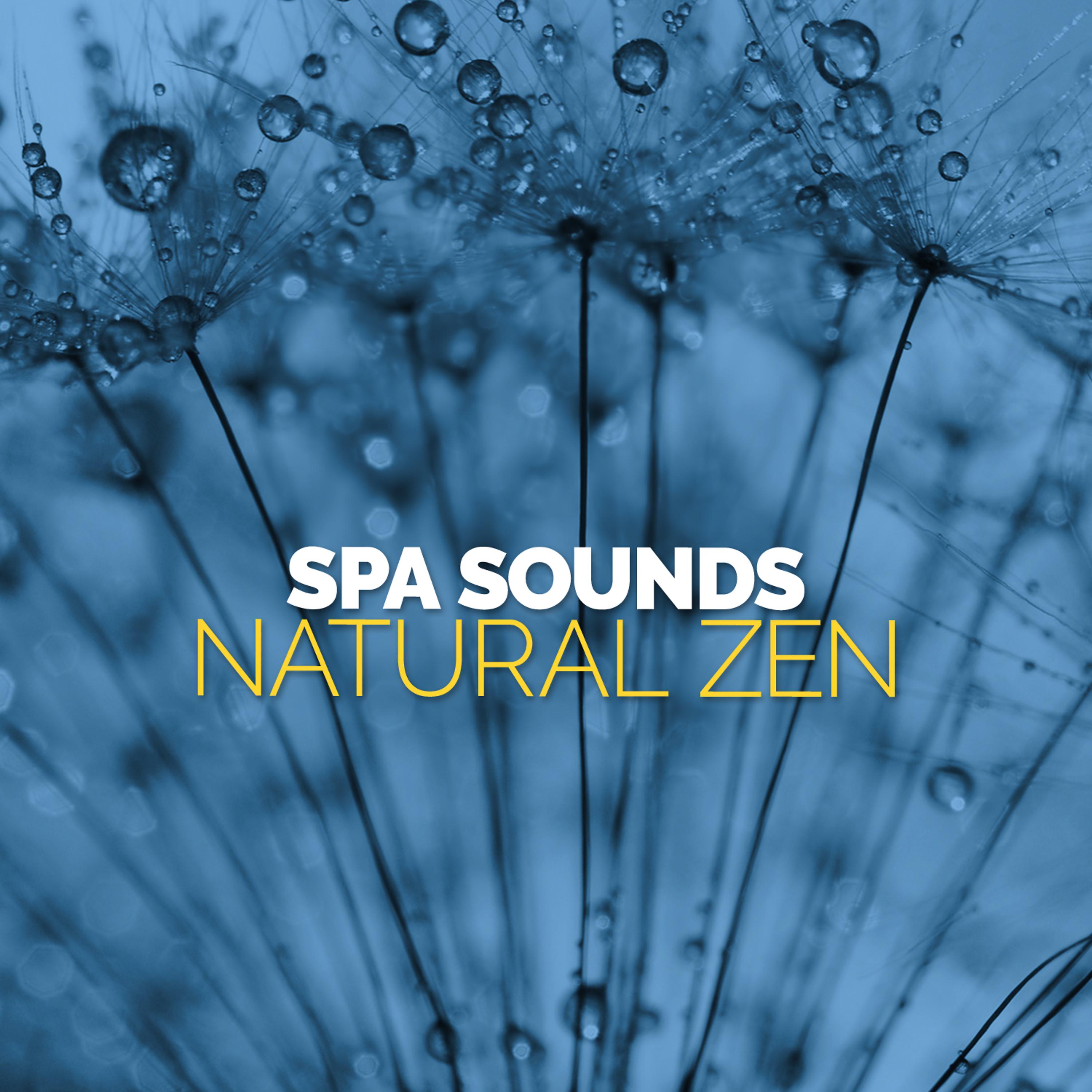 Постер альбома Spa Sounds: Natural Zen