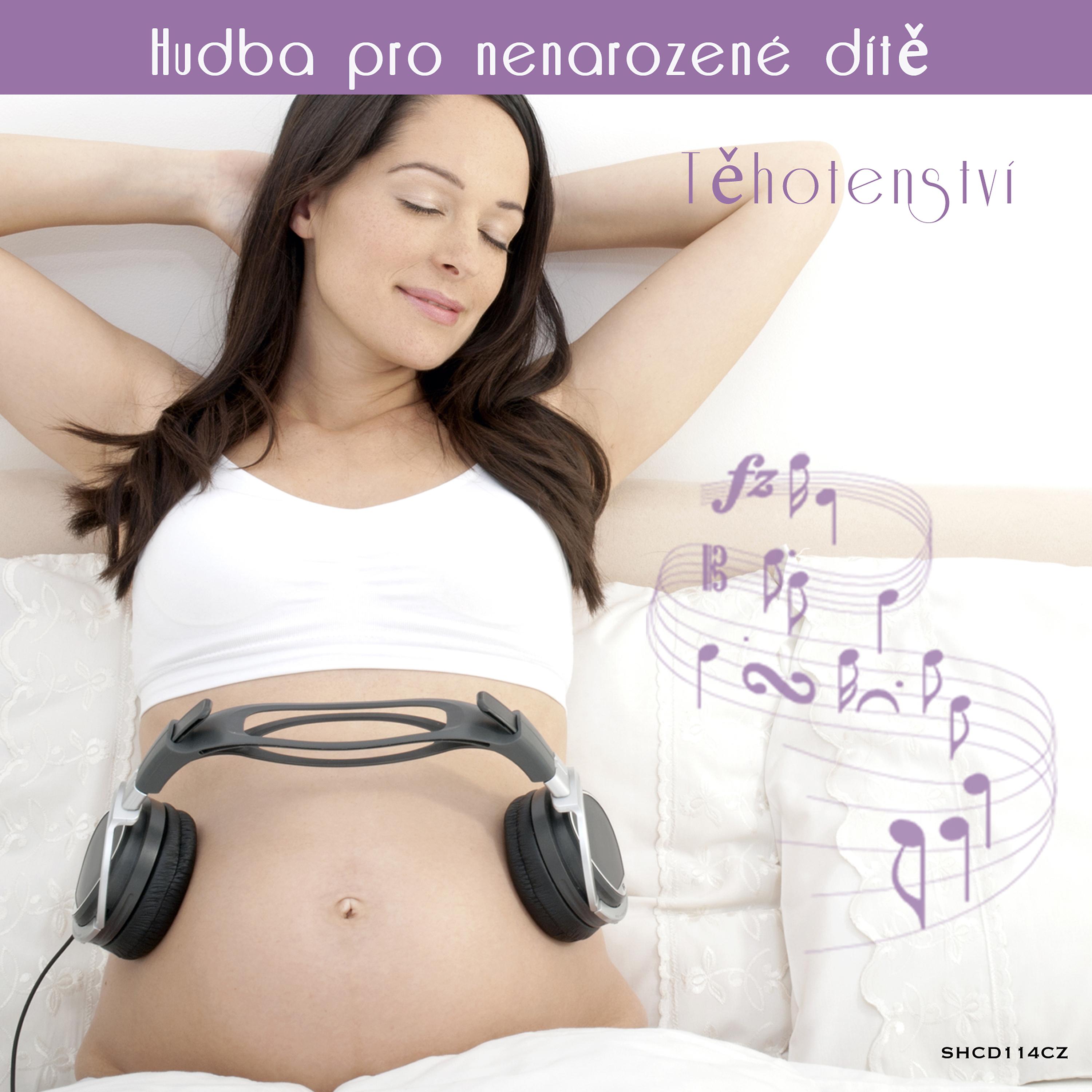 Постер альбома Těhotenství  ♫ Hudba pro nenarozené dítě