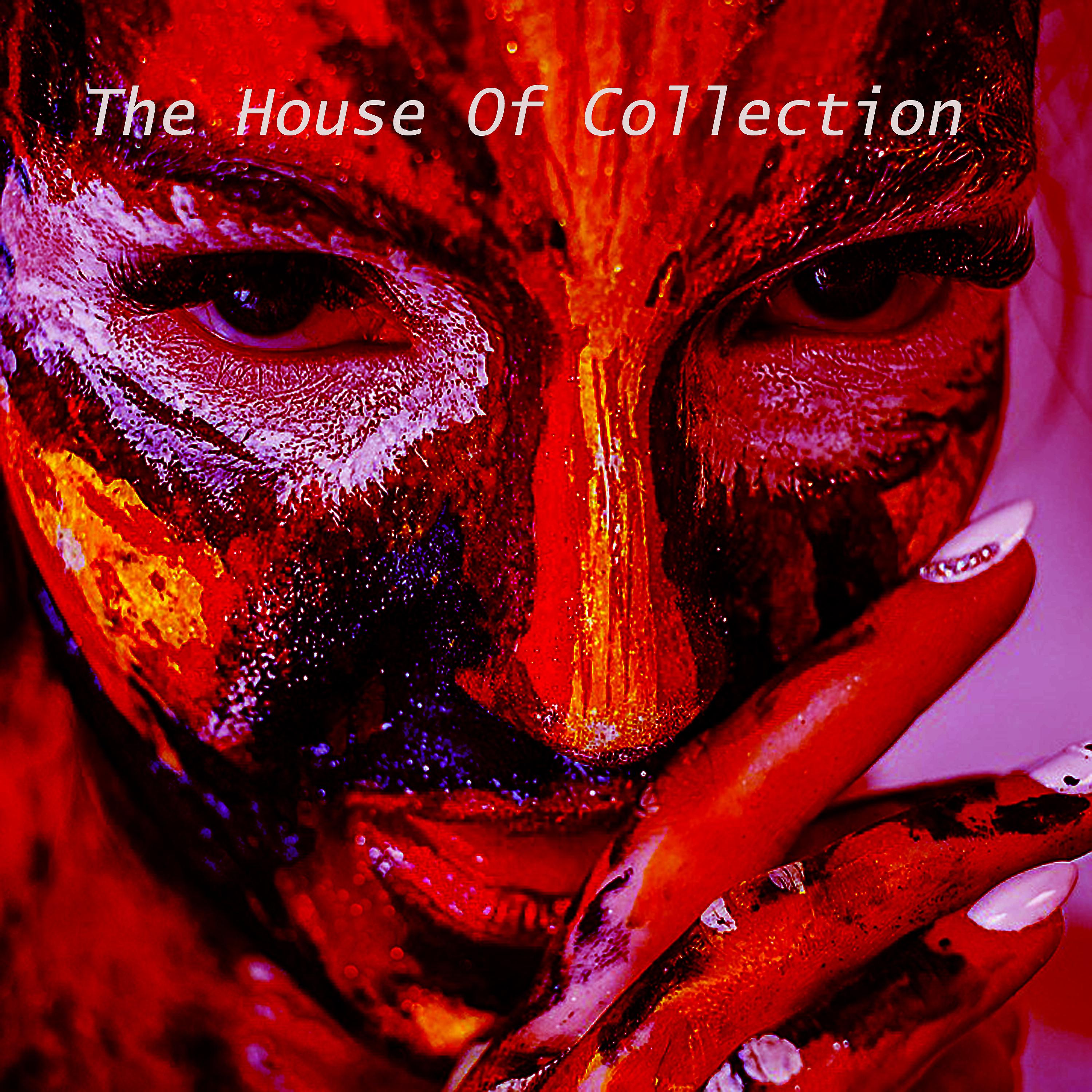 Постер альбома The House of Collection