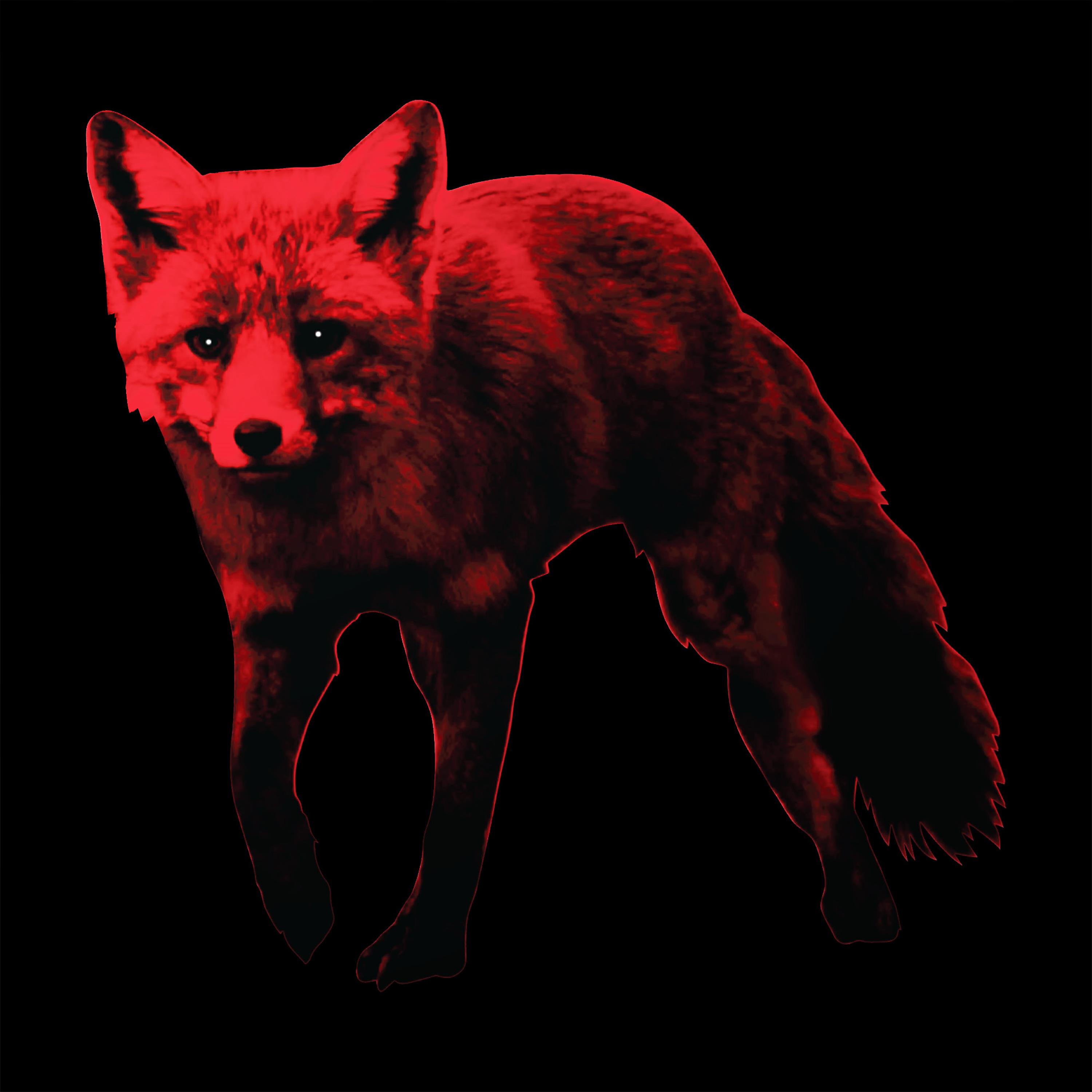 My enemy. Продиджи the Day is my Enemy. Prodigy Fox. Prodigy my Day is my Enemy. Лиса из продиджи.