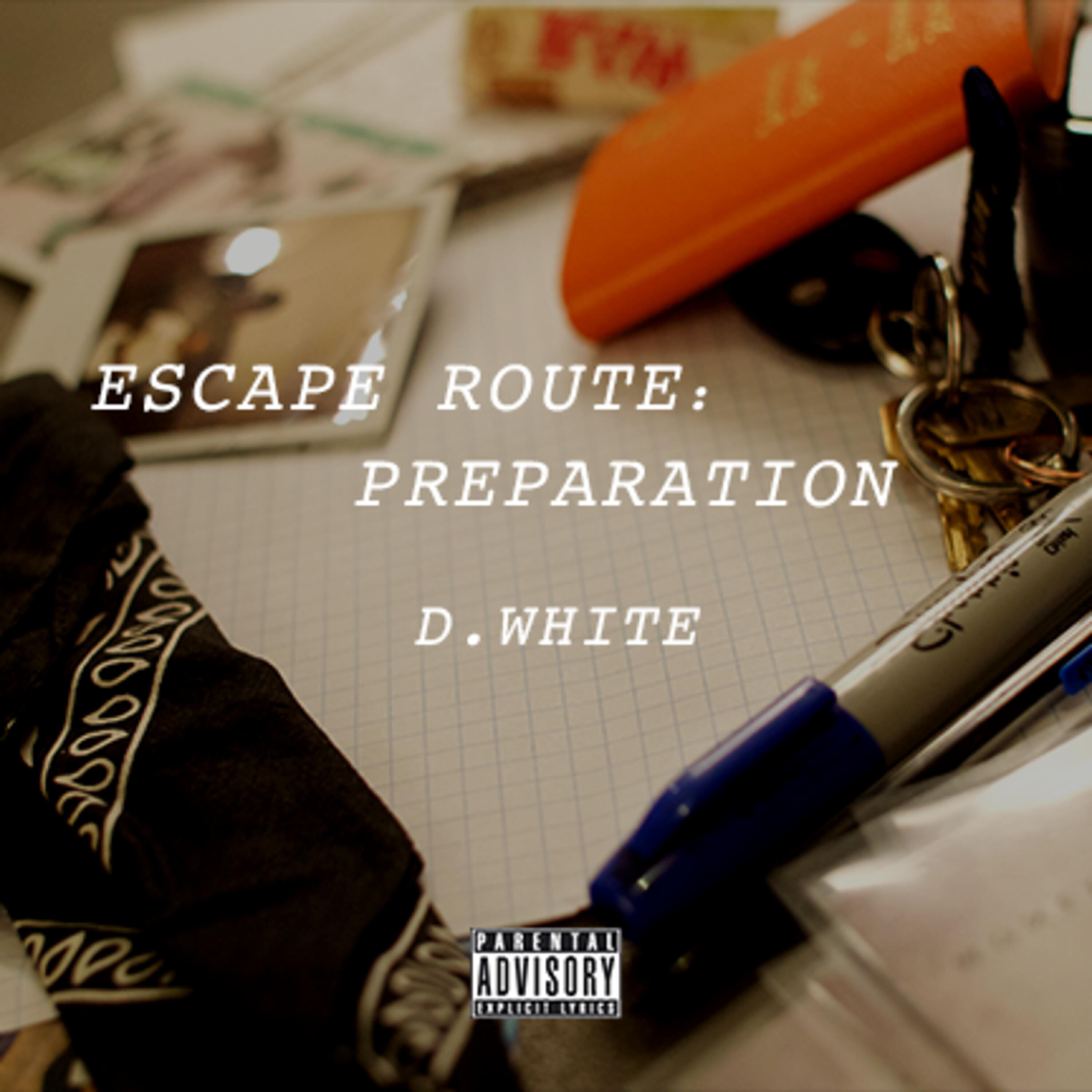 D White - Sittin on the Ceilin