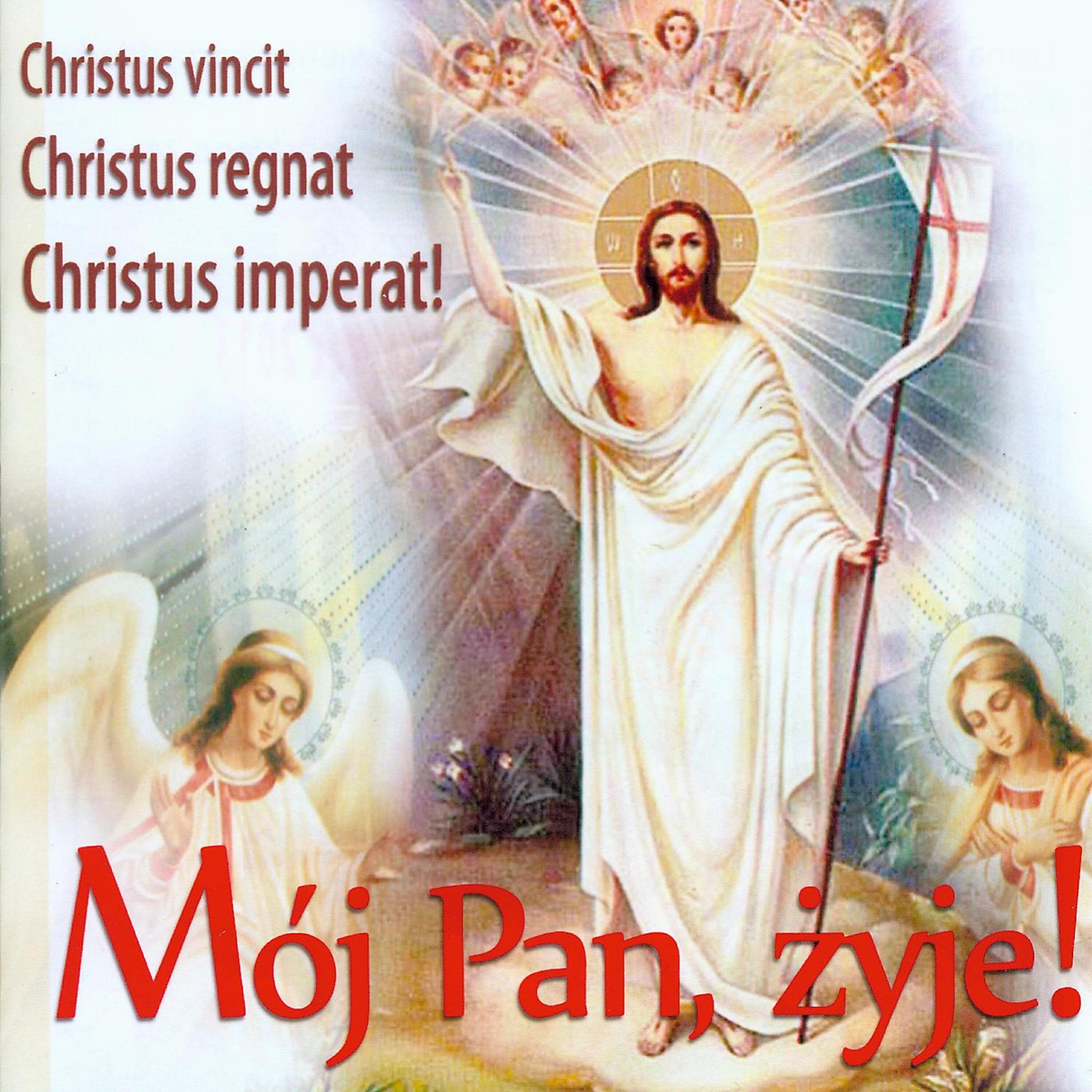 ks. Robert Żwirek - Mosty