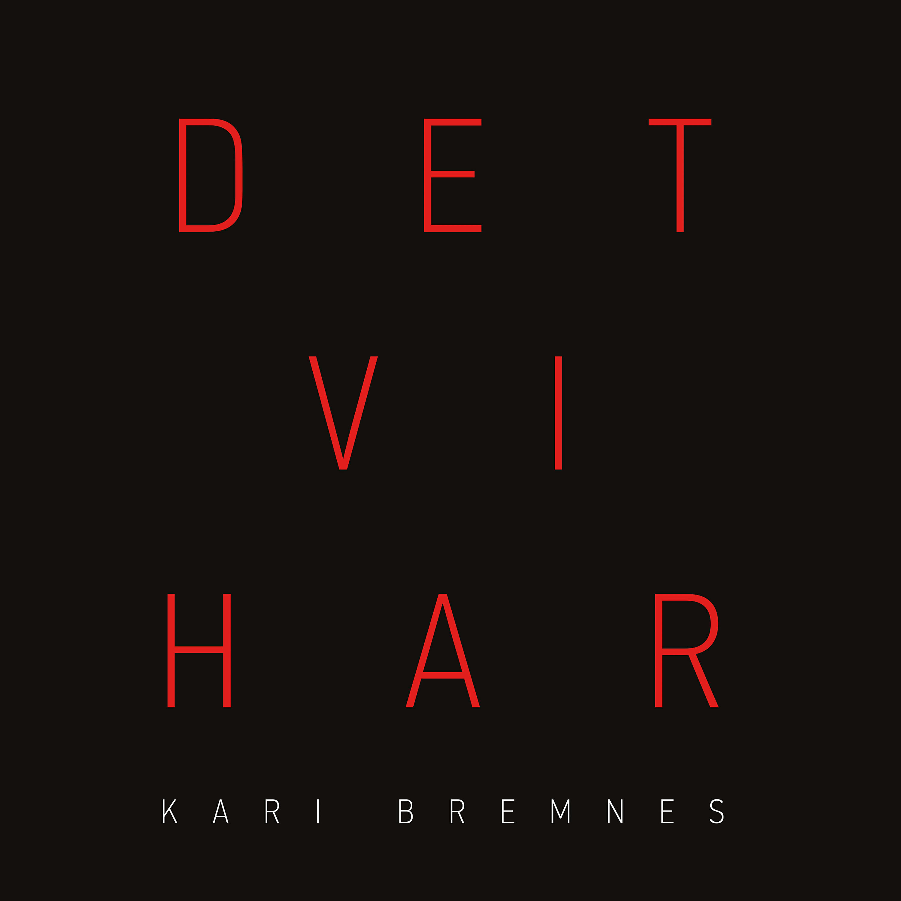 Kari Bremnes - Det kunne skjedd