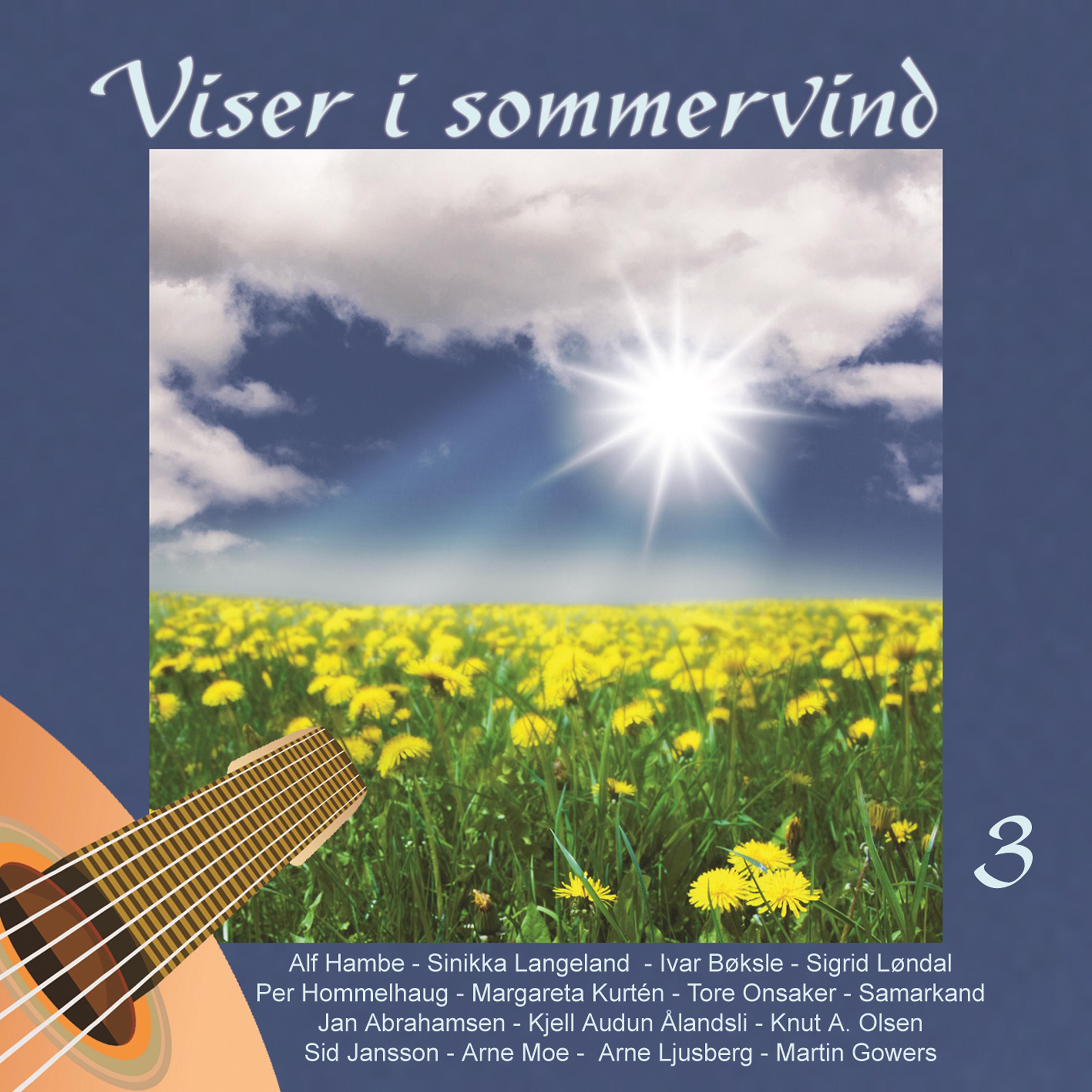 Постер альбома Viser I Sommerkveld 3