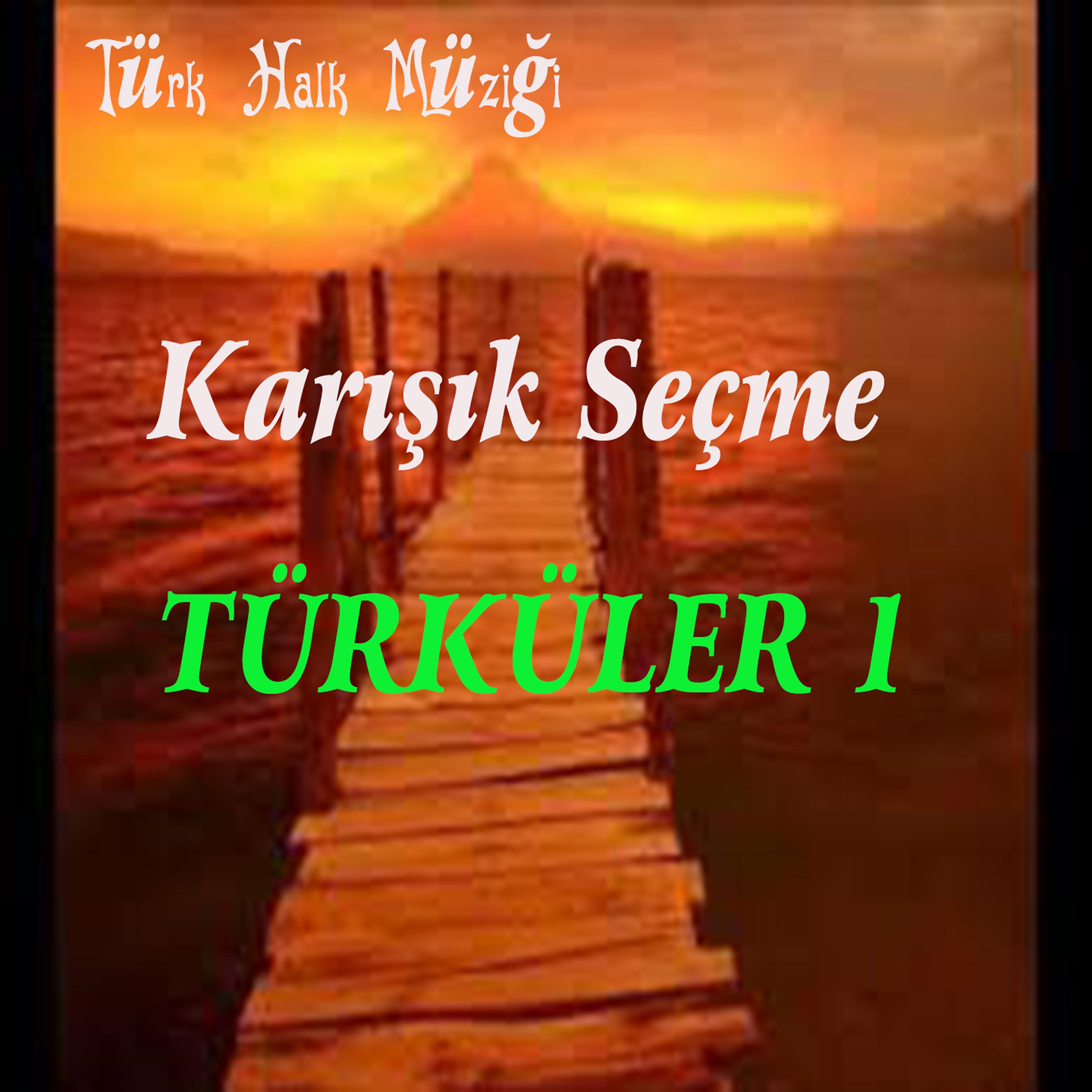 Постер альбома Türk Halk Müziği Karışık Seçme Türküler, Vol. 1
