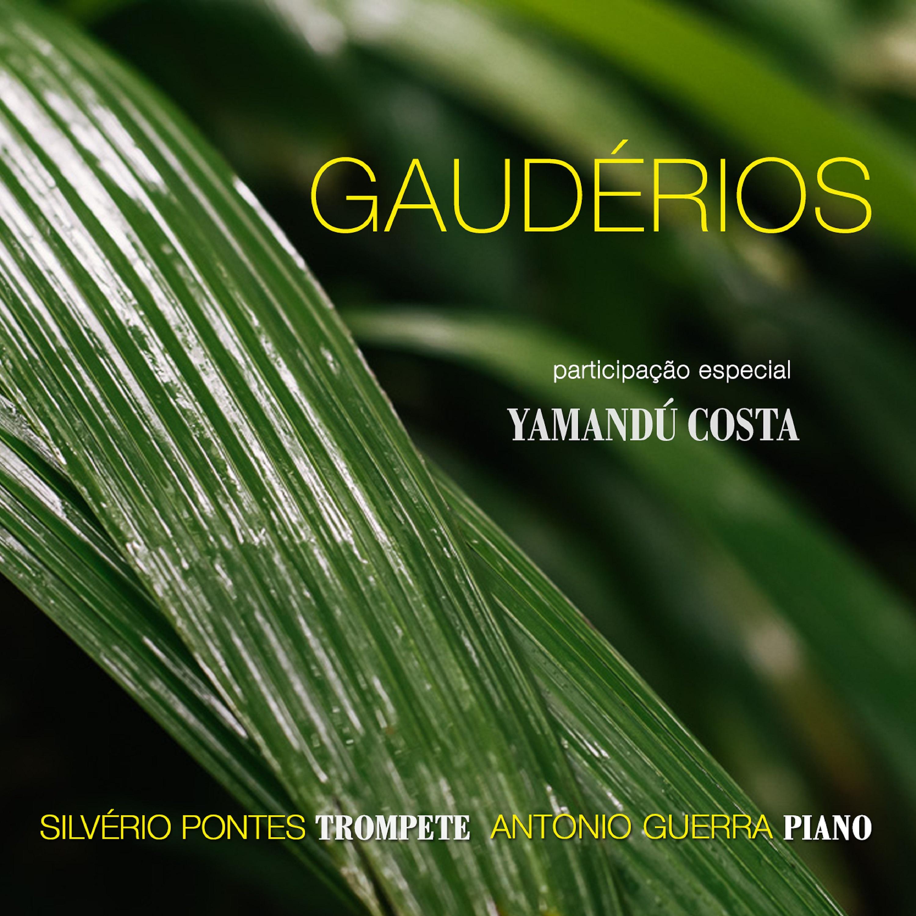 Постер альбома Gaudérios