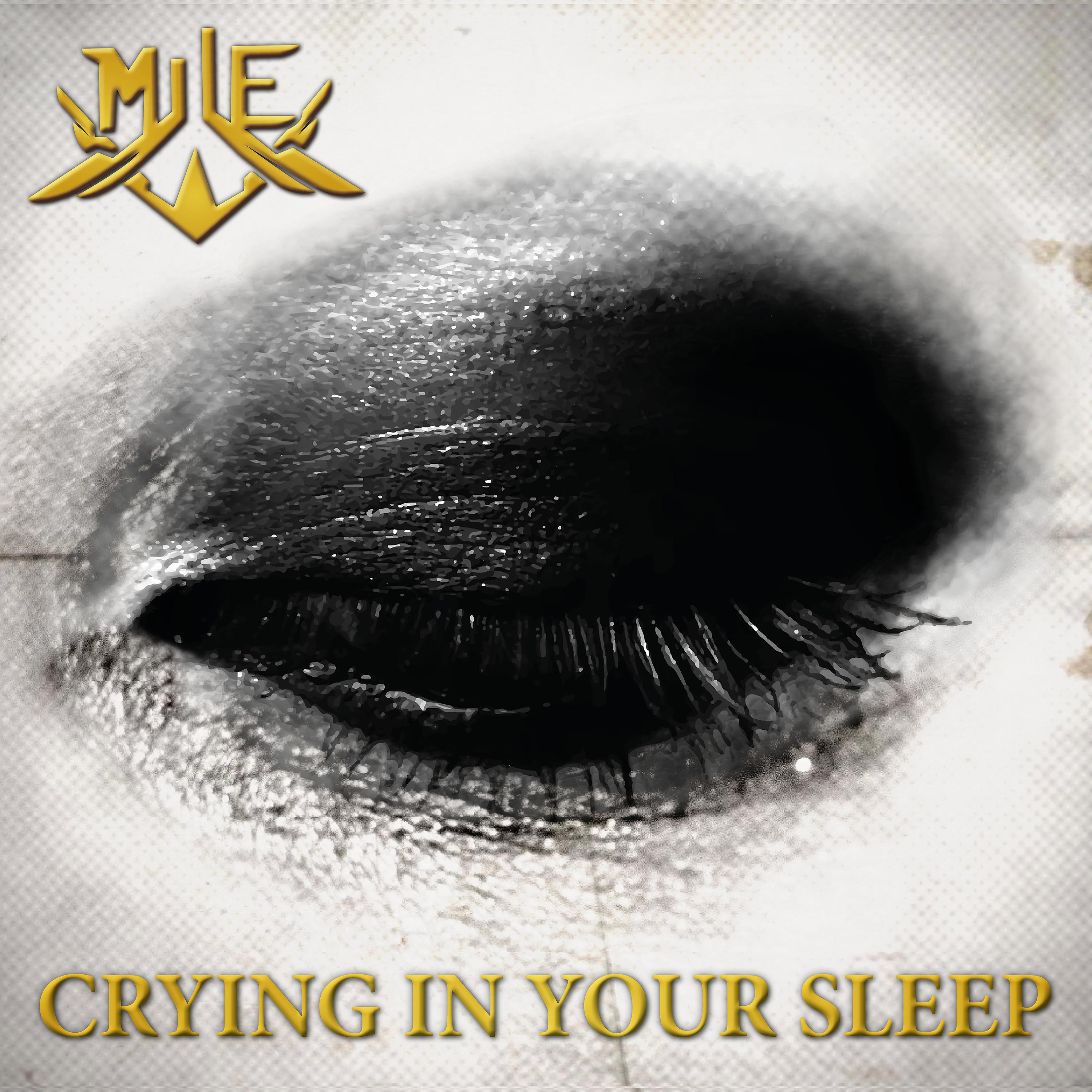 Постер альбома Crying in Your Sleep