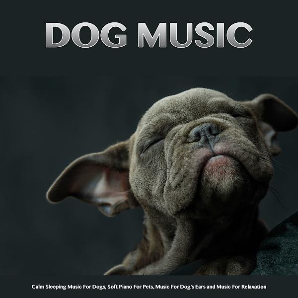 Постер альбома Dog Music: Calm Sleeping Music For Dogs, Soft Piano For Pets, Music For Dog's Ears and Music For Relaxation