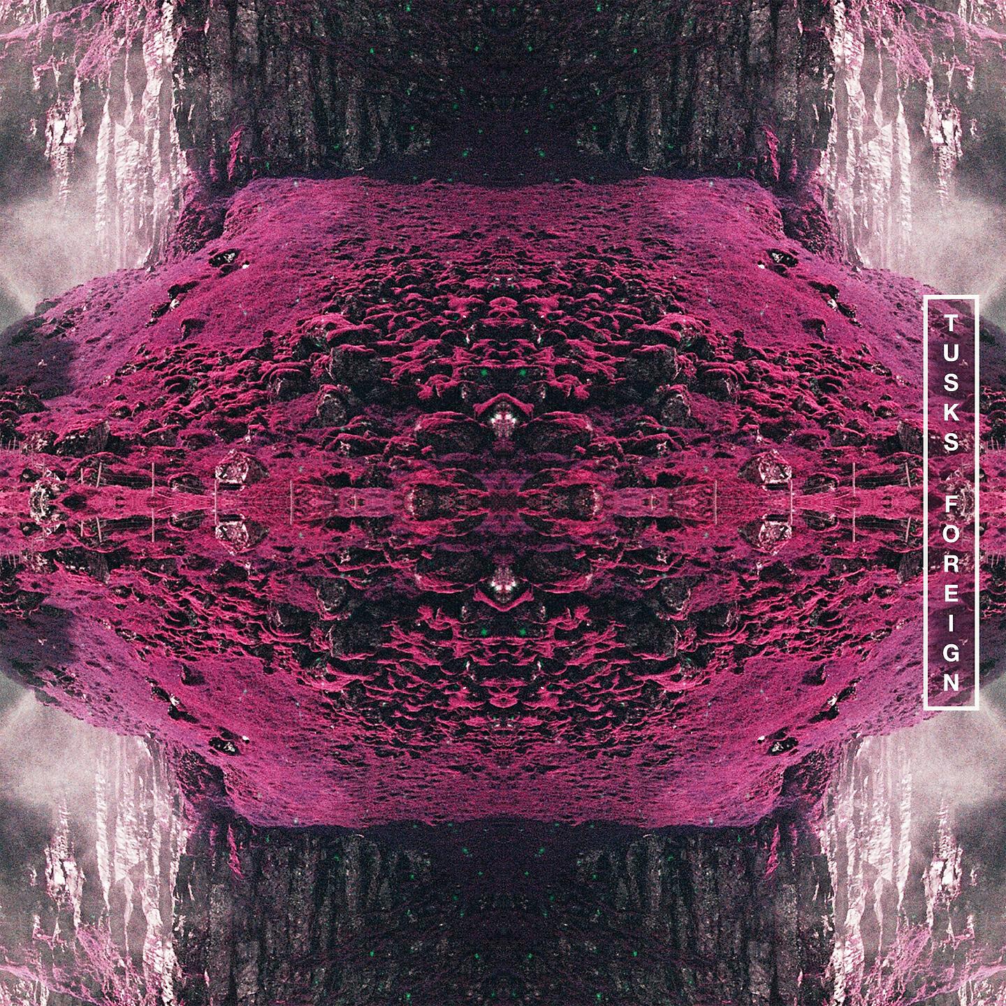 Tusks - Foreign
