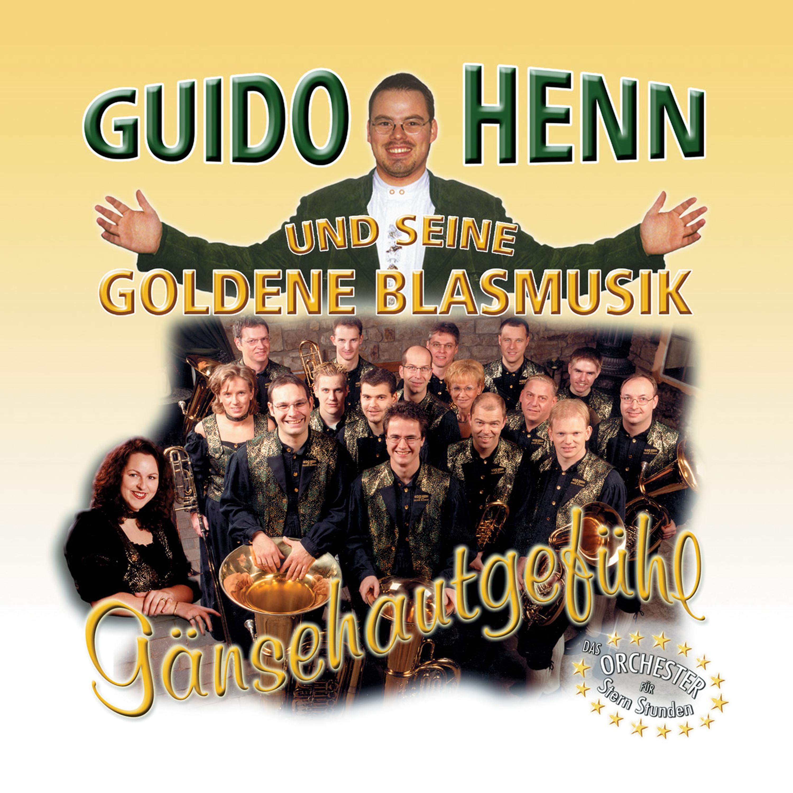 Постер альбома Gänsehautgefühl