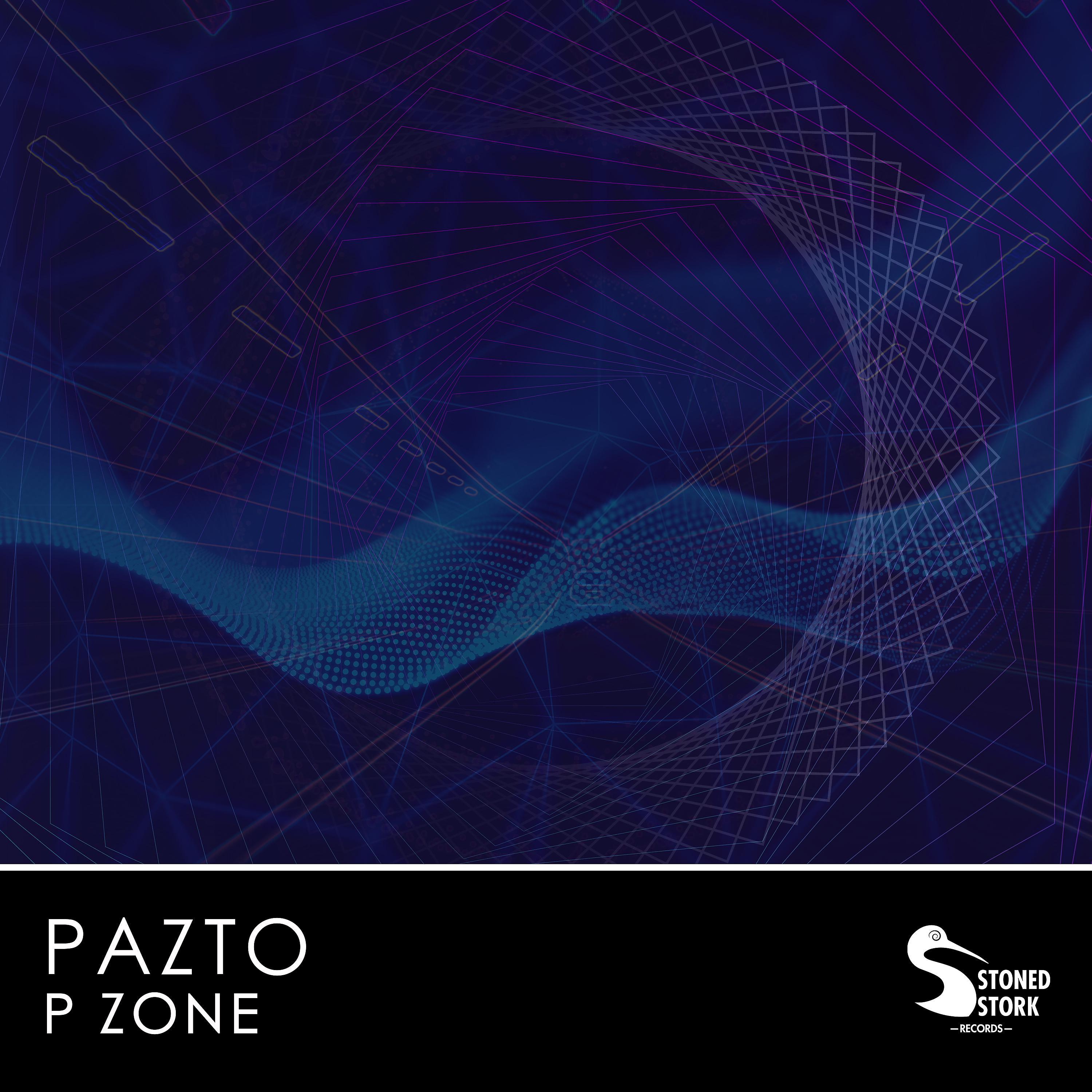 Постер альбома P Zone