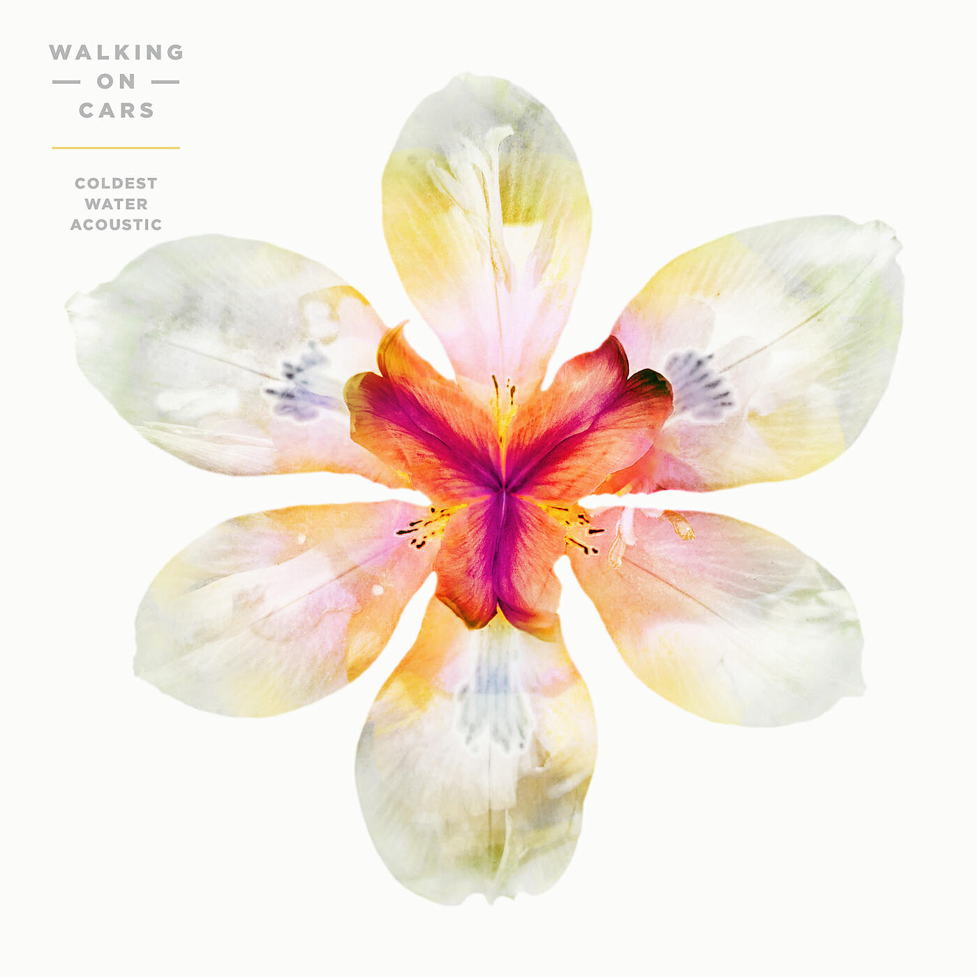 Walking On Cars - Coldest Water (Acoustic)