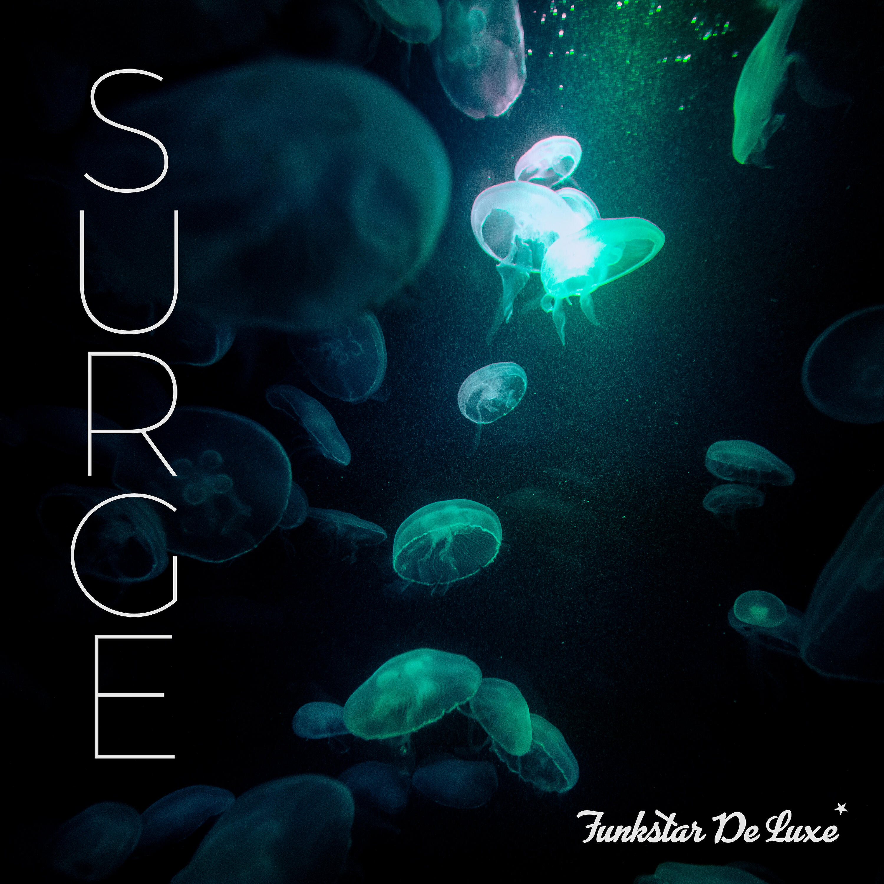 Funkstar De Luxe - Surge