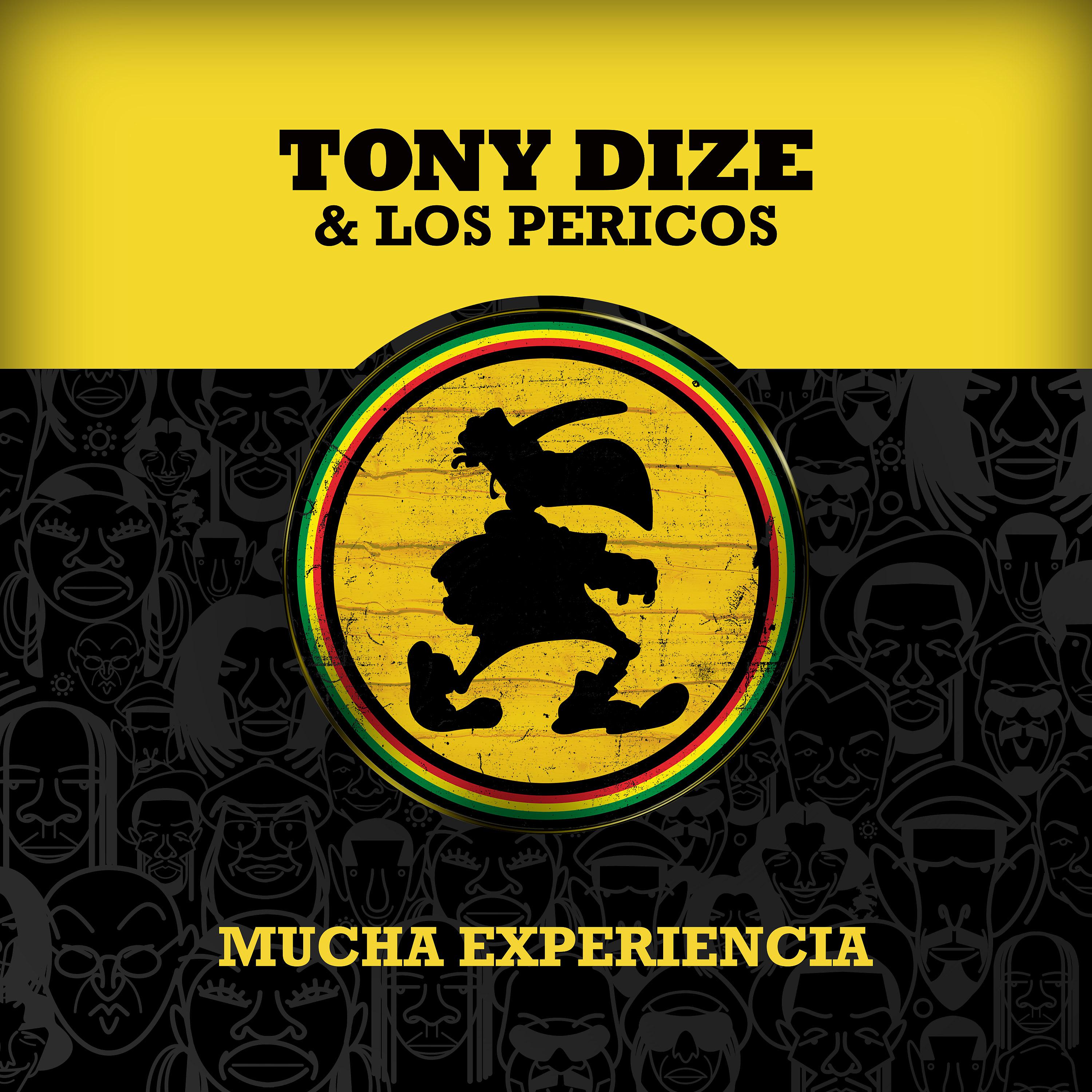 Постер альбома Mucha Experiencia