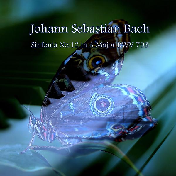 Постер альбома Bach Sinfonia No.12 in A Major BWV 798